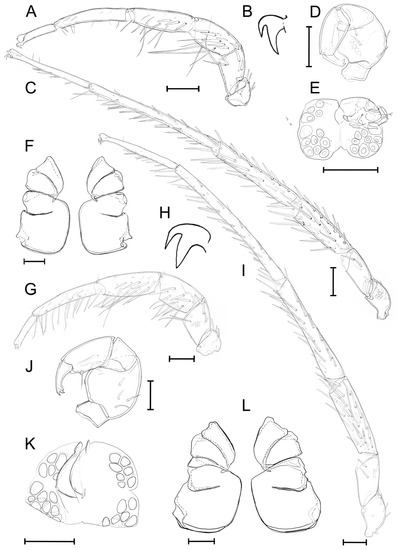 Diversity 14 00848 g007