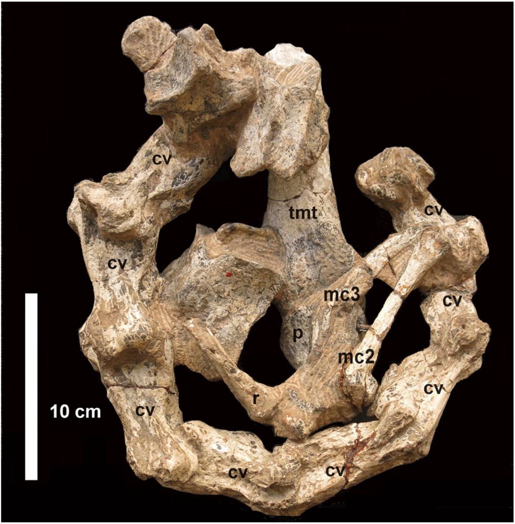 Diversity 14 00860 g002