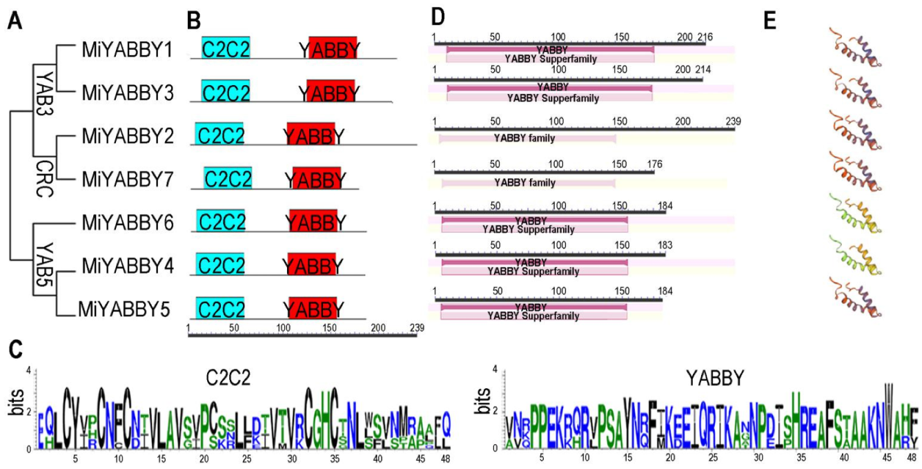 Diversity 14 00861 g001