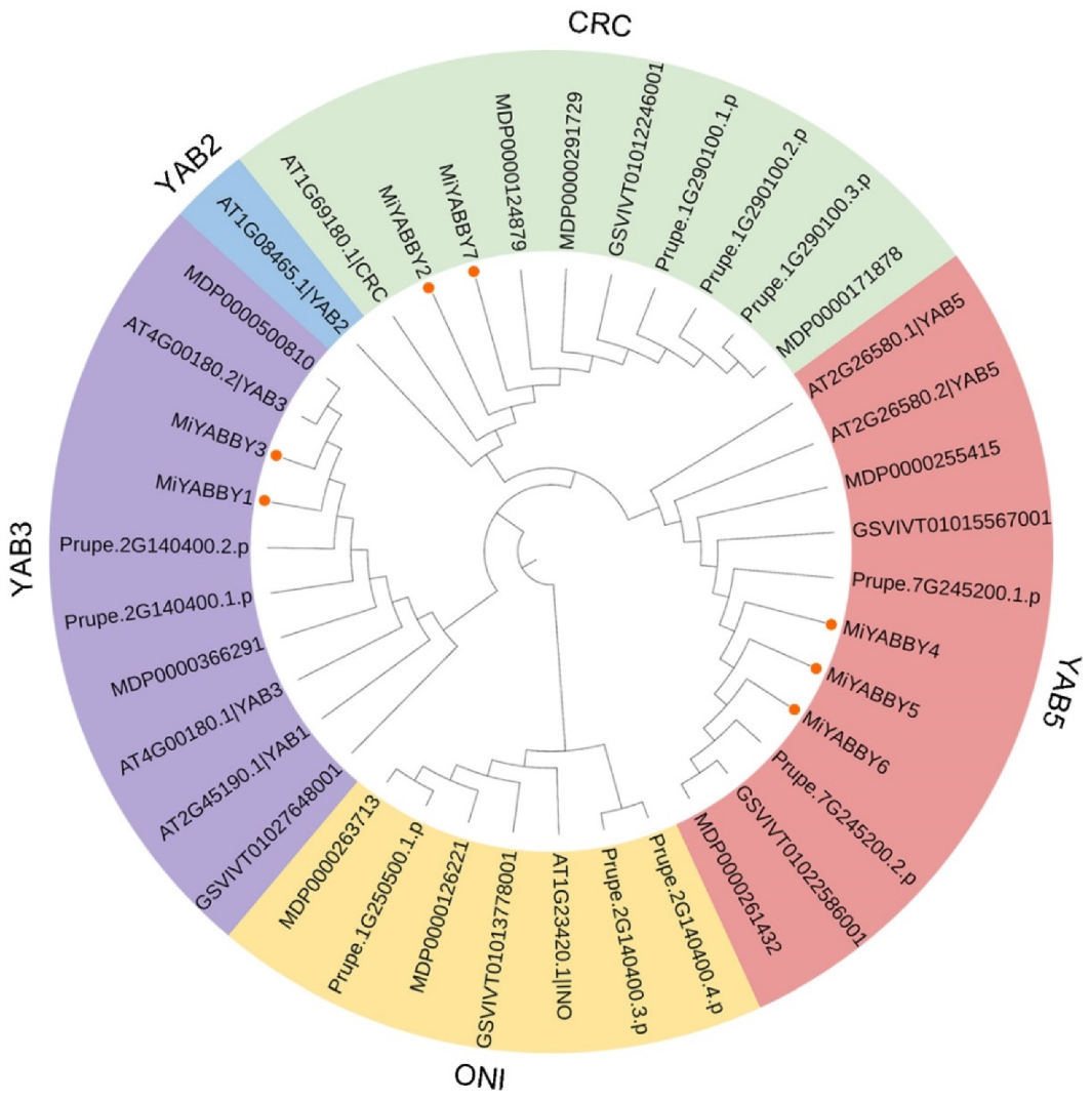 Diversity 14 00861 g002