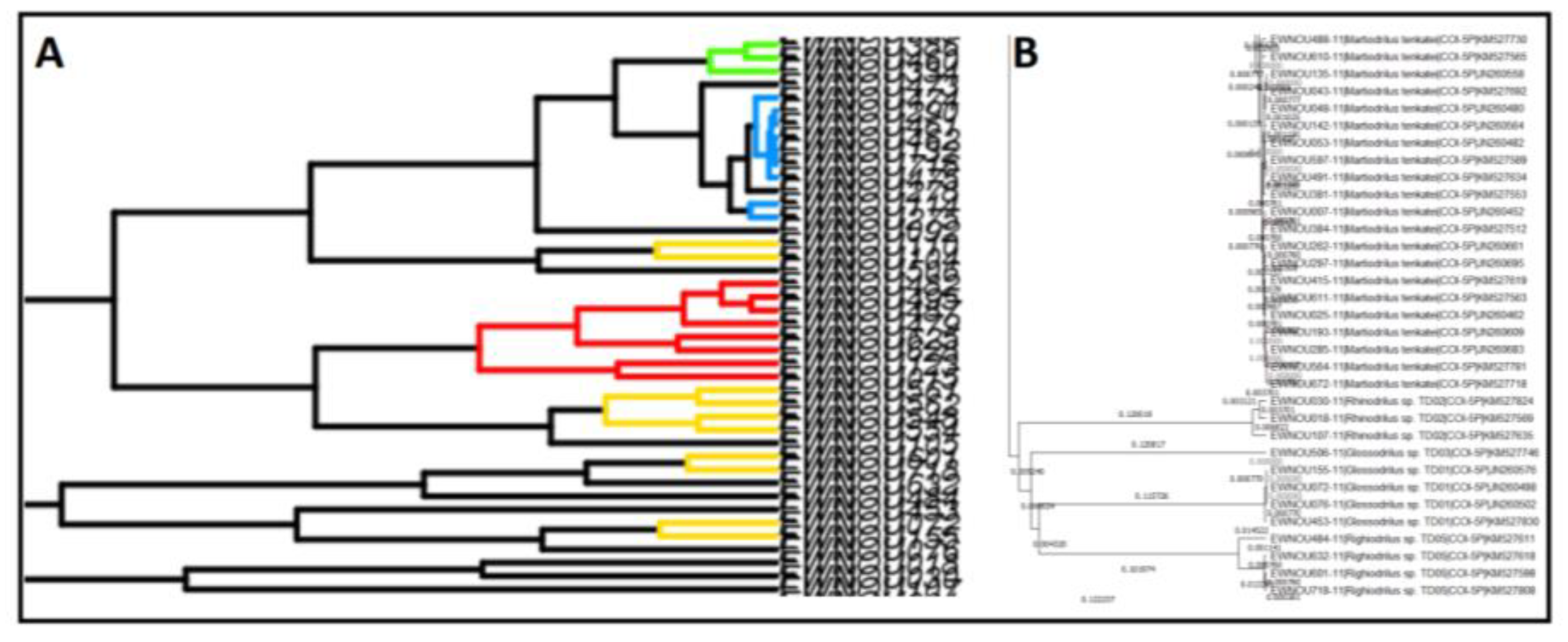 Diversity 14 00866 g002 Diversity 14 00866 g002
