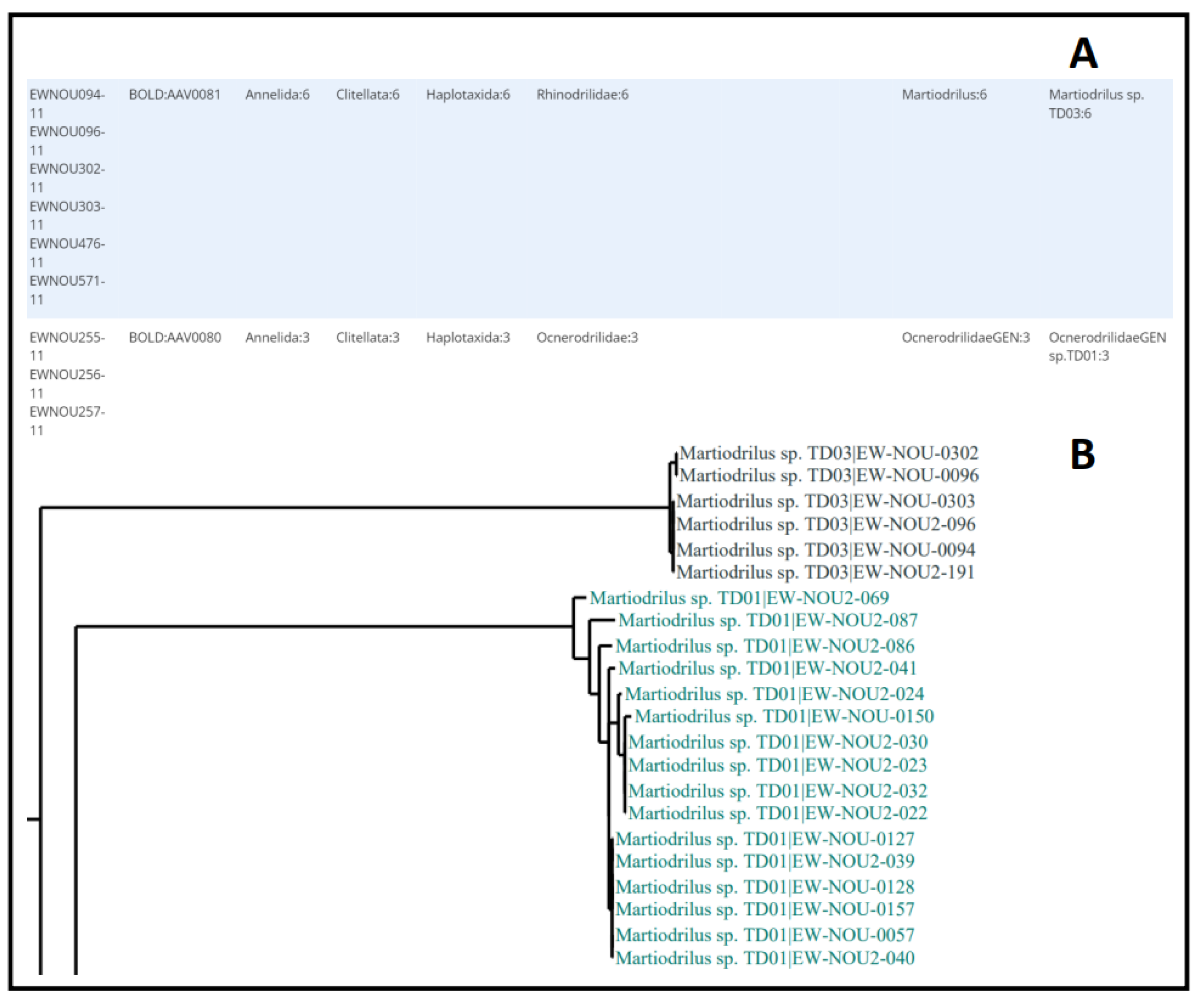 Diversity 14 00866 g003 Diversity 14 00866 g003