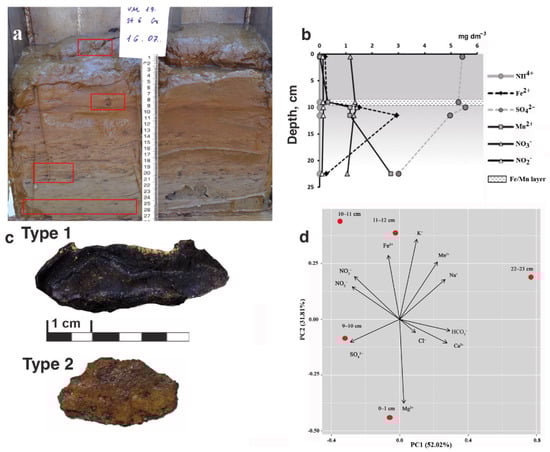 Diversity 14 00868 g002 Diversity 14 00868 g002