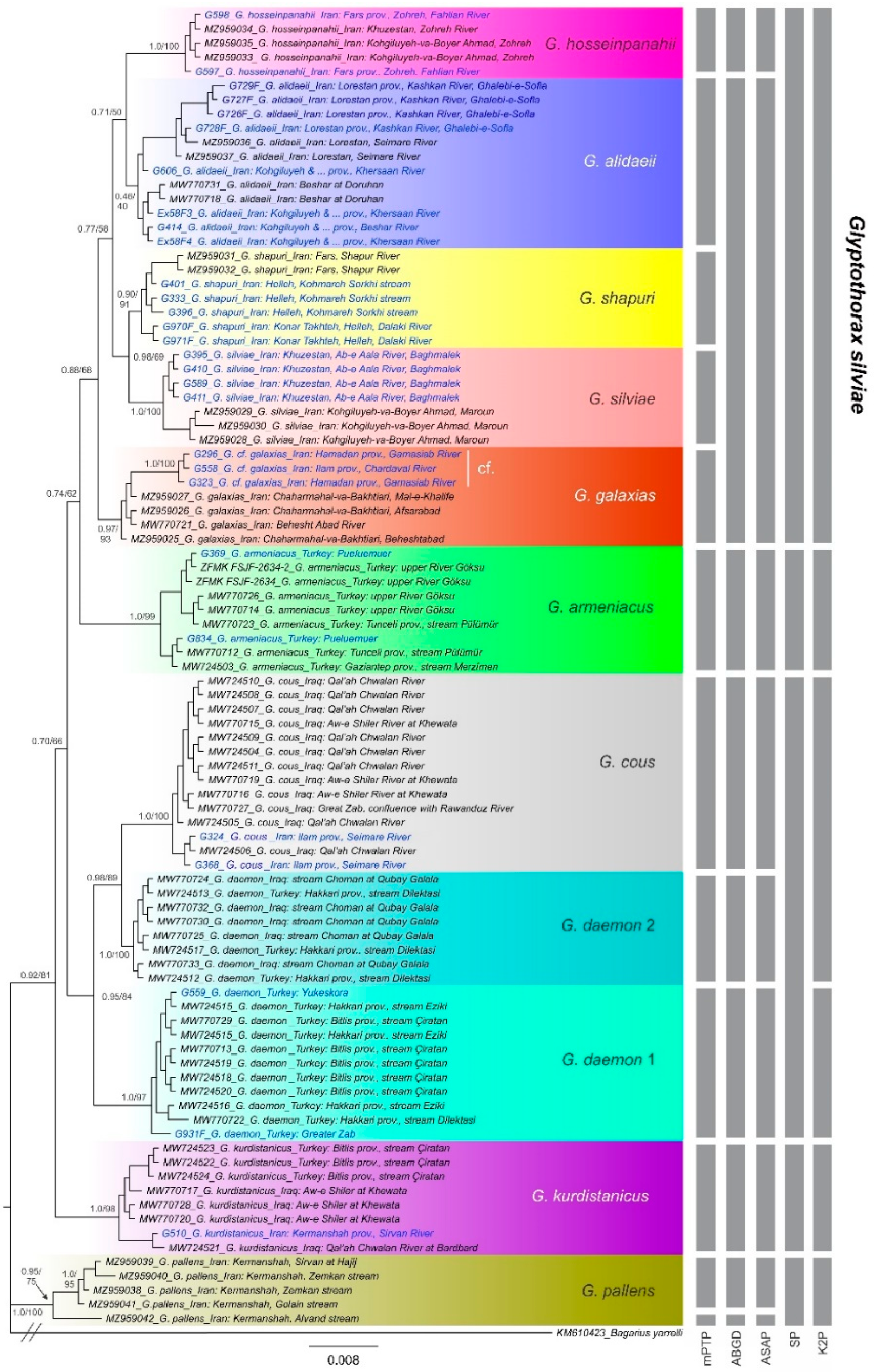 Diversity 14 00884 g002