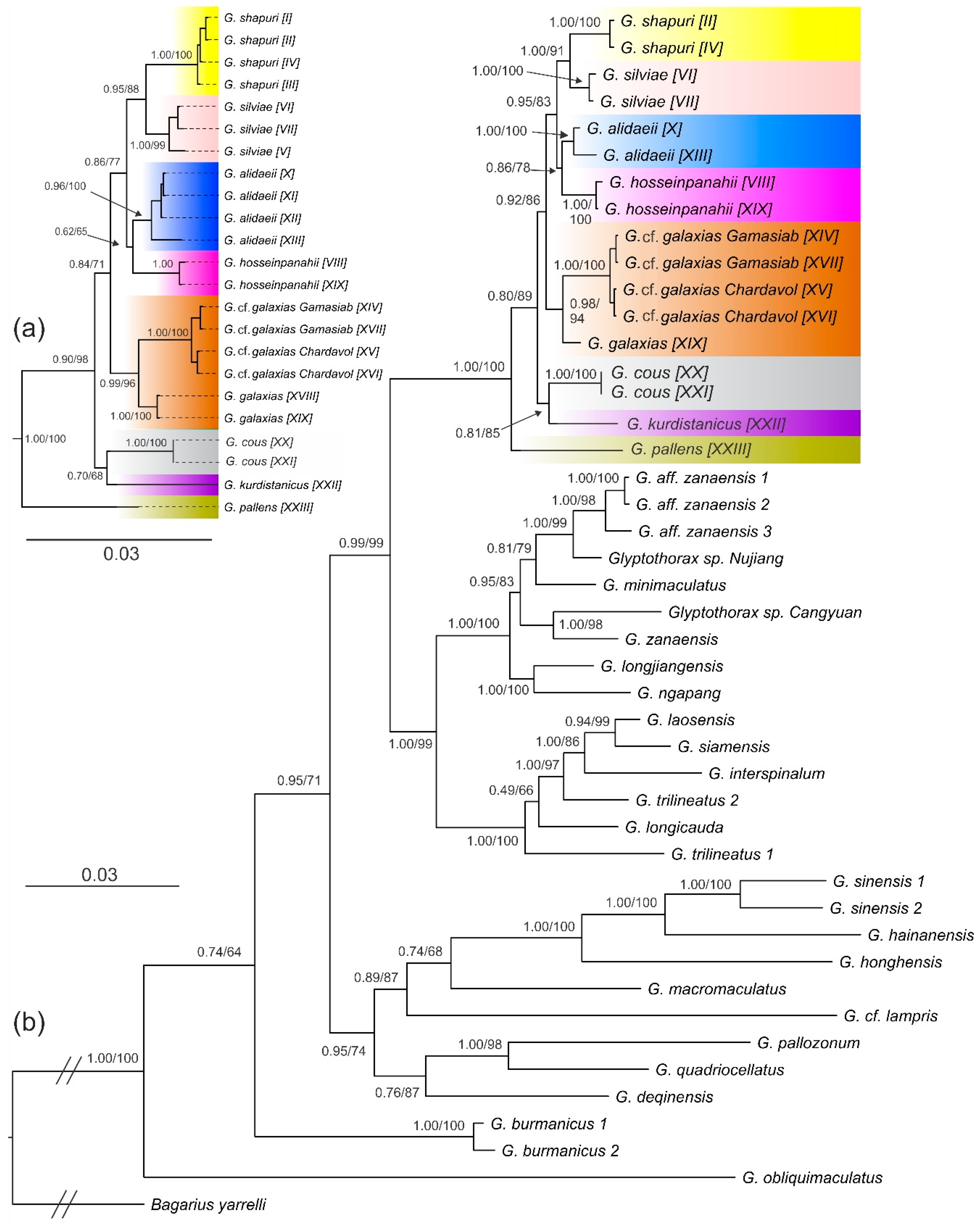Diversity 14 00884 g003