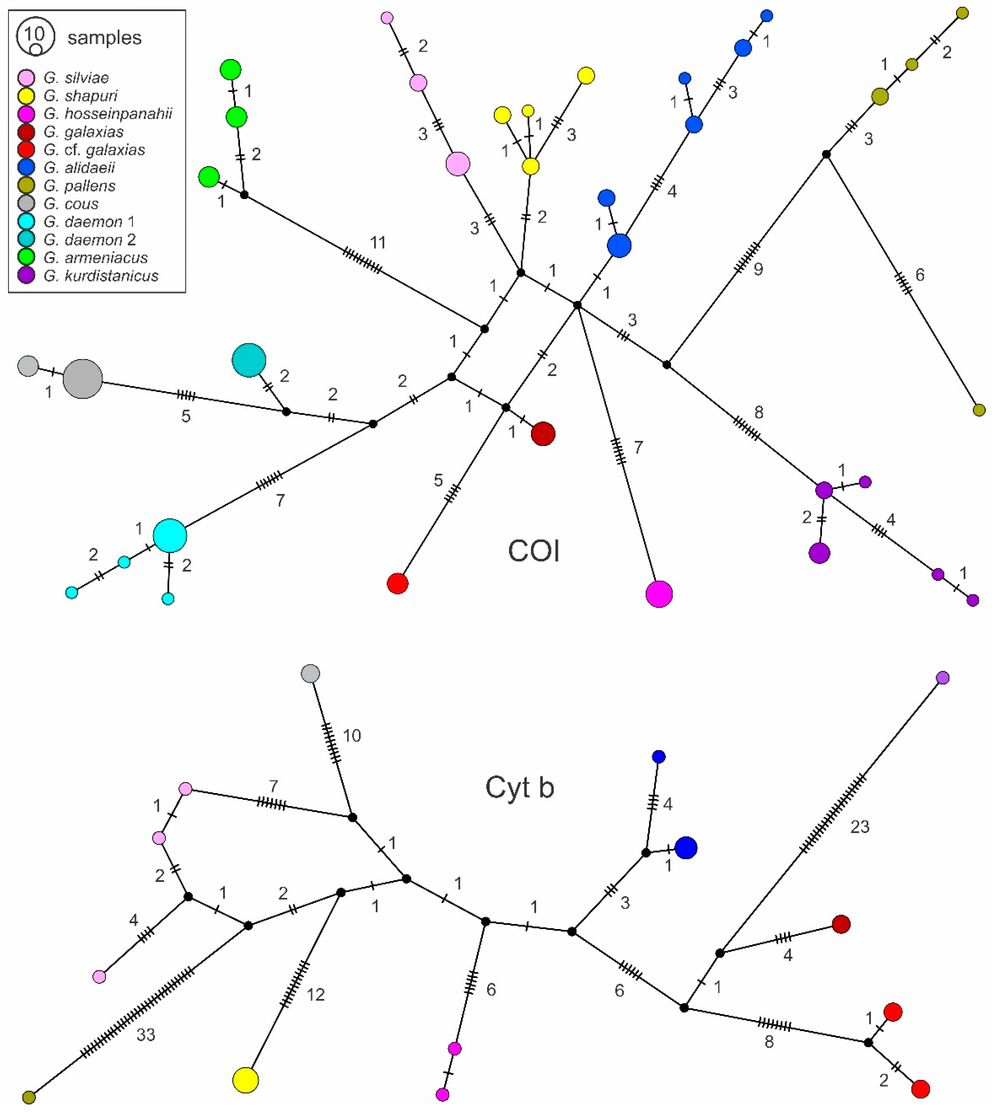 Diversity 14 00884 g004