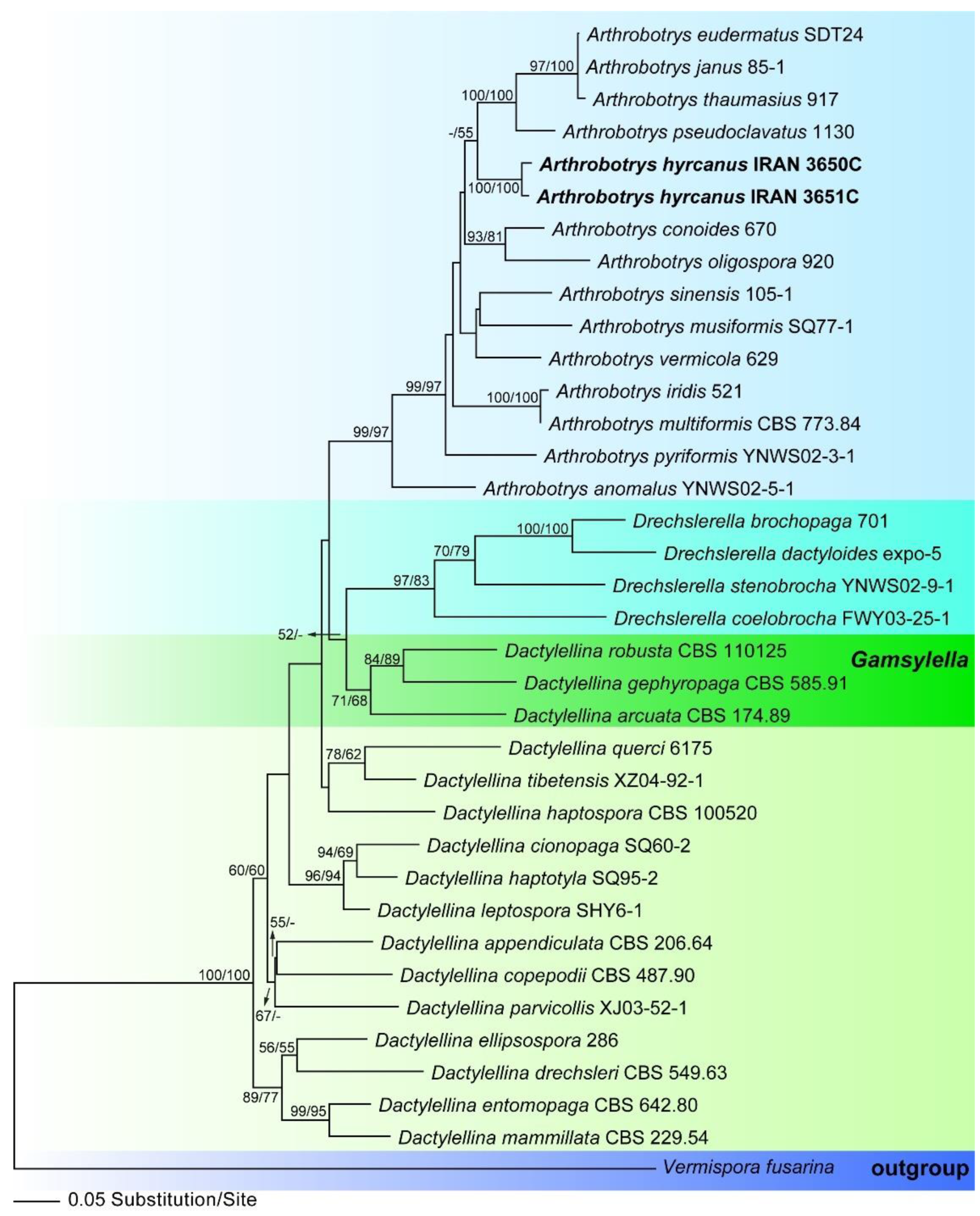Diversity 14 00889 g001 Diversity 14 00889 g001