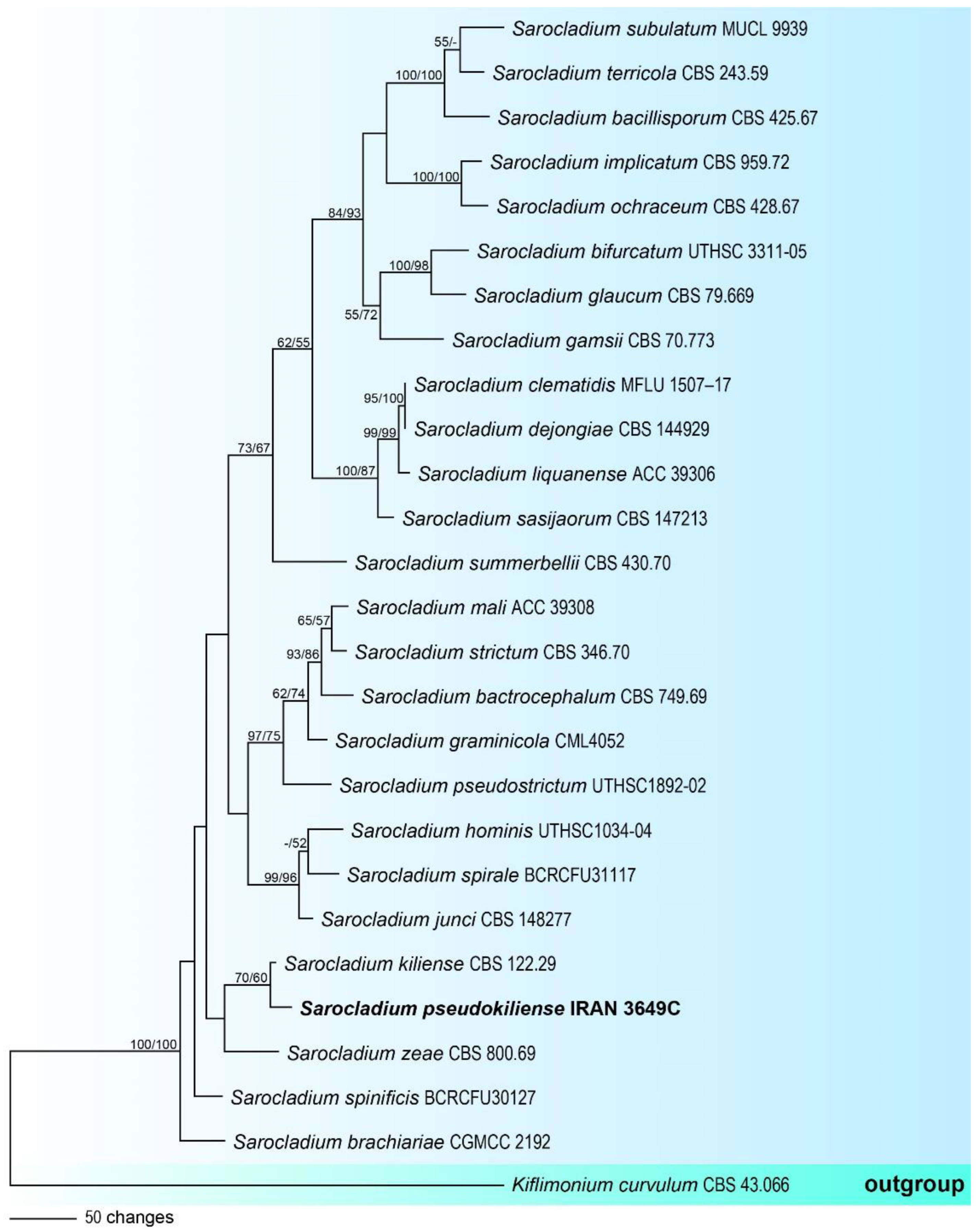 Diversity 14 00889 g002 Diversity 14 00889 g002