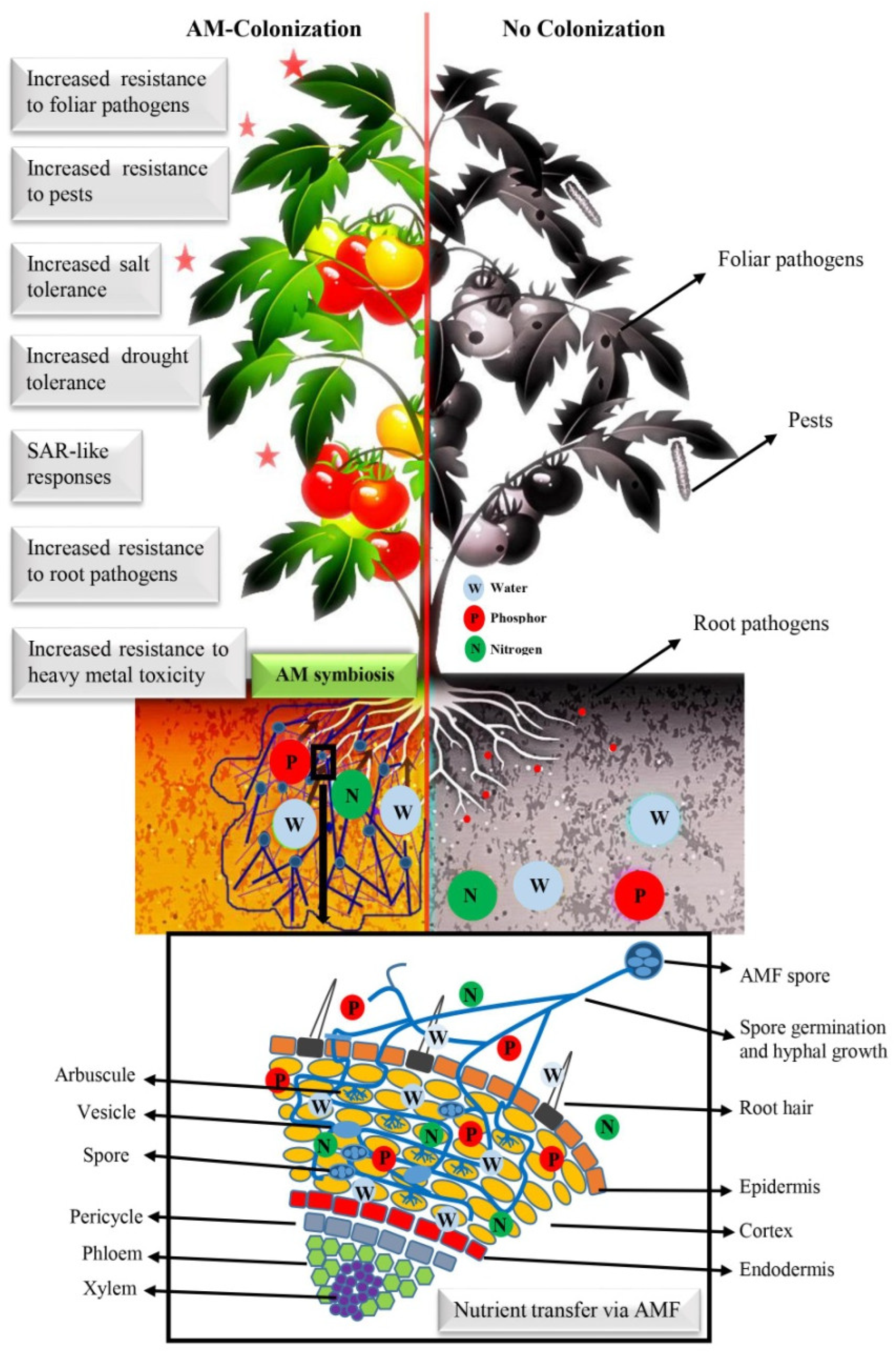 Diversity 14 00898 g001 Diversity 14 00898 g001