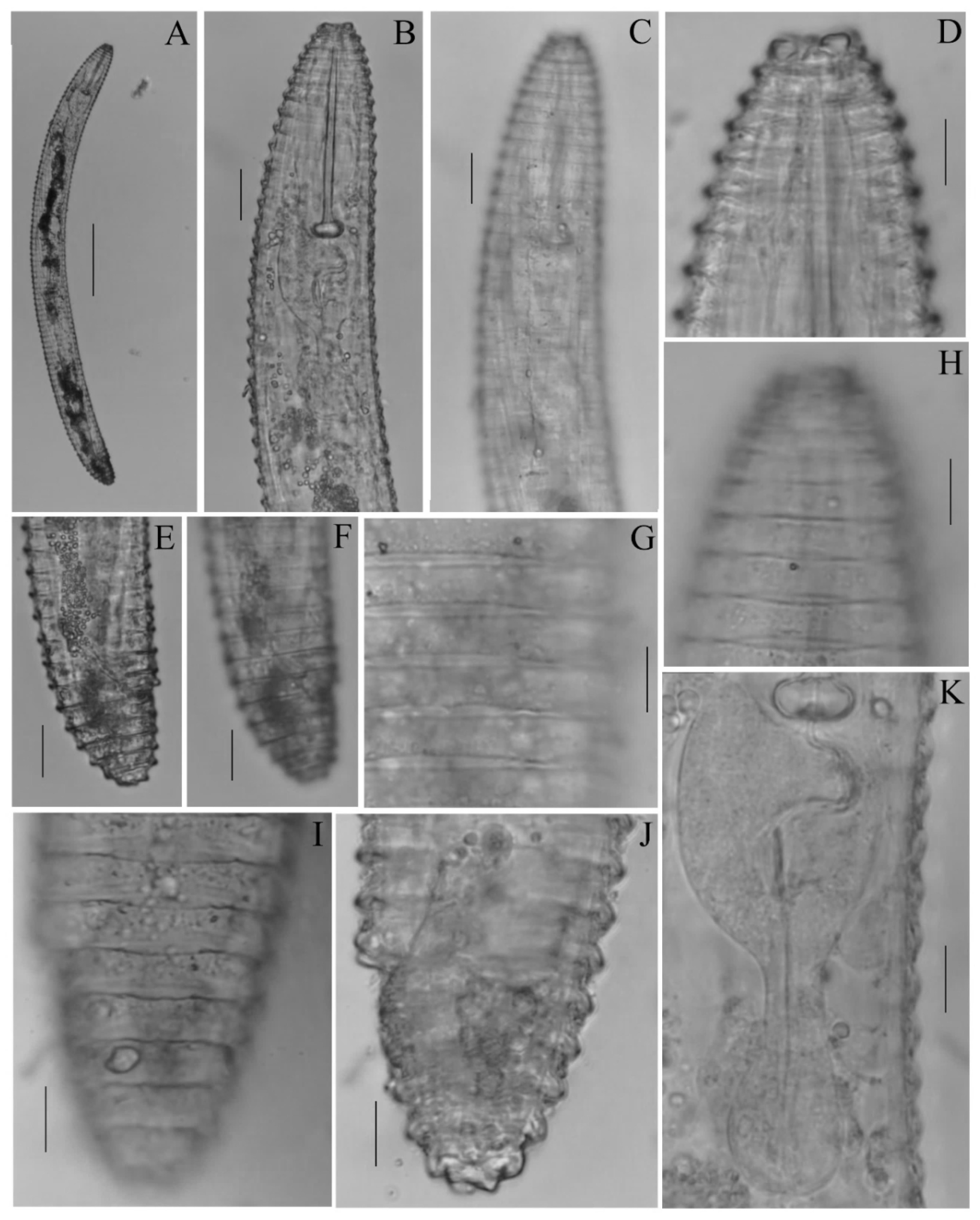 Diversity 14 00898 g002 Diversity 14 00898 g002