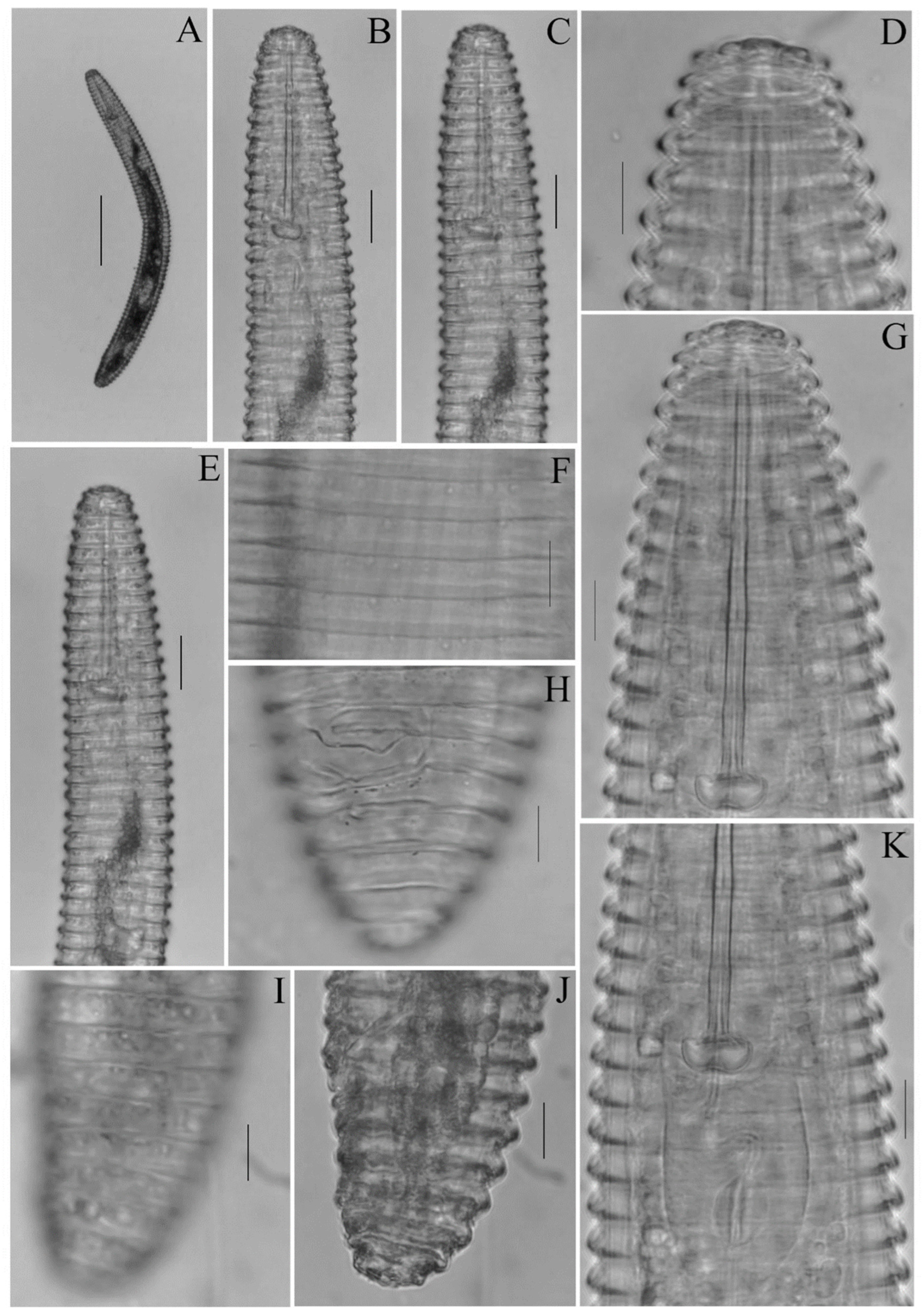 Diversity 14 00898 g003 Diversity 14 00898 g003
