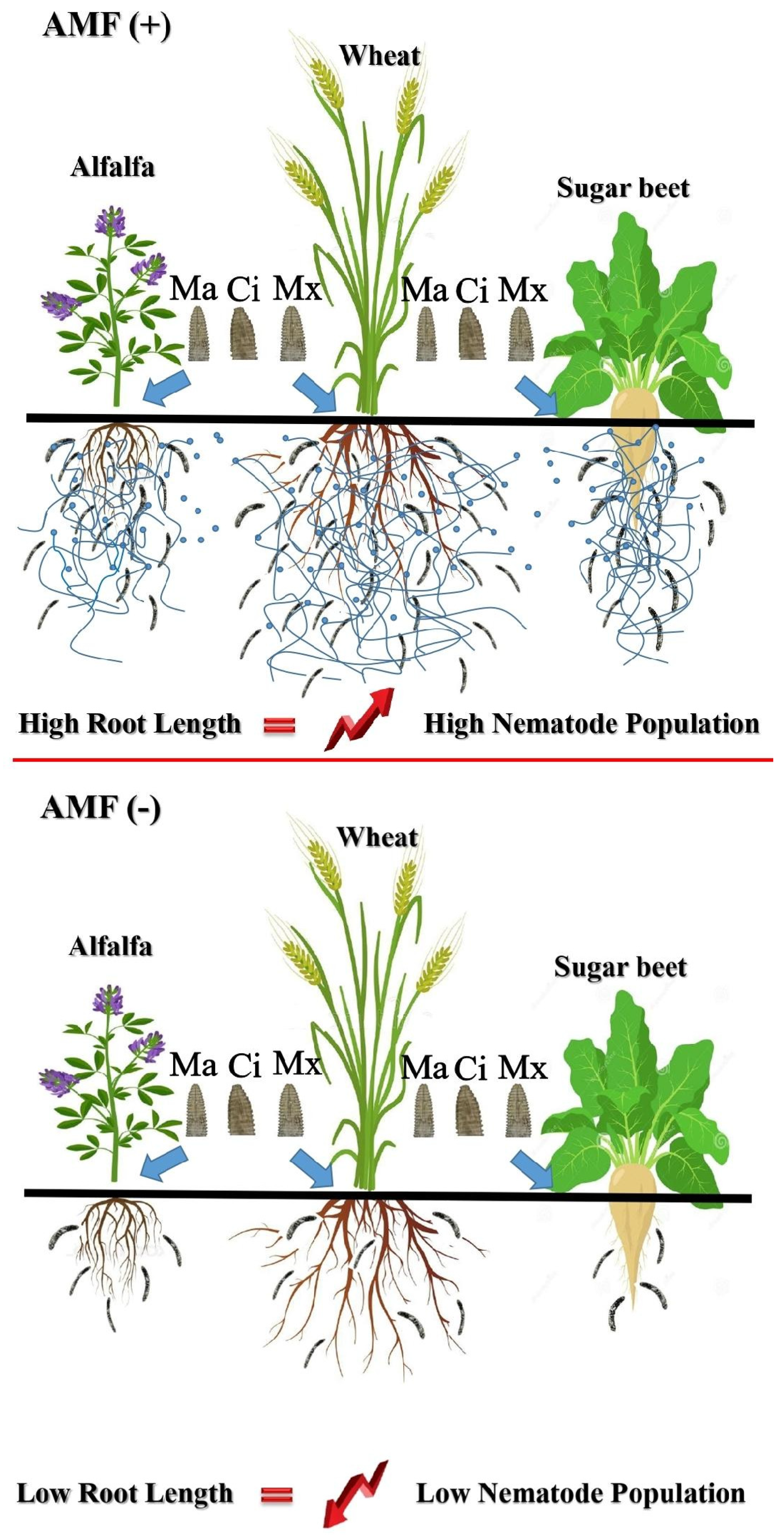Diversity 14 00898 g006 Diversity 14 00898 g006