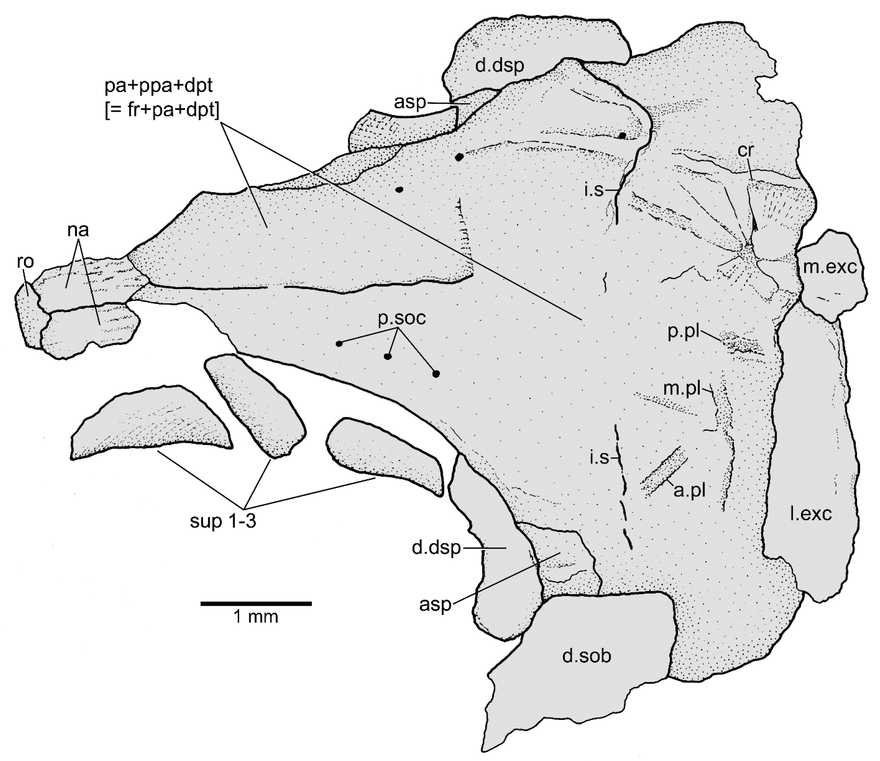 Diversity 14 00901 g003