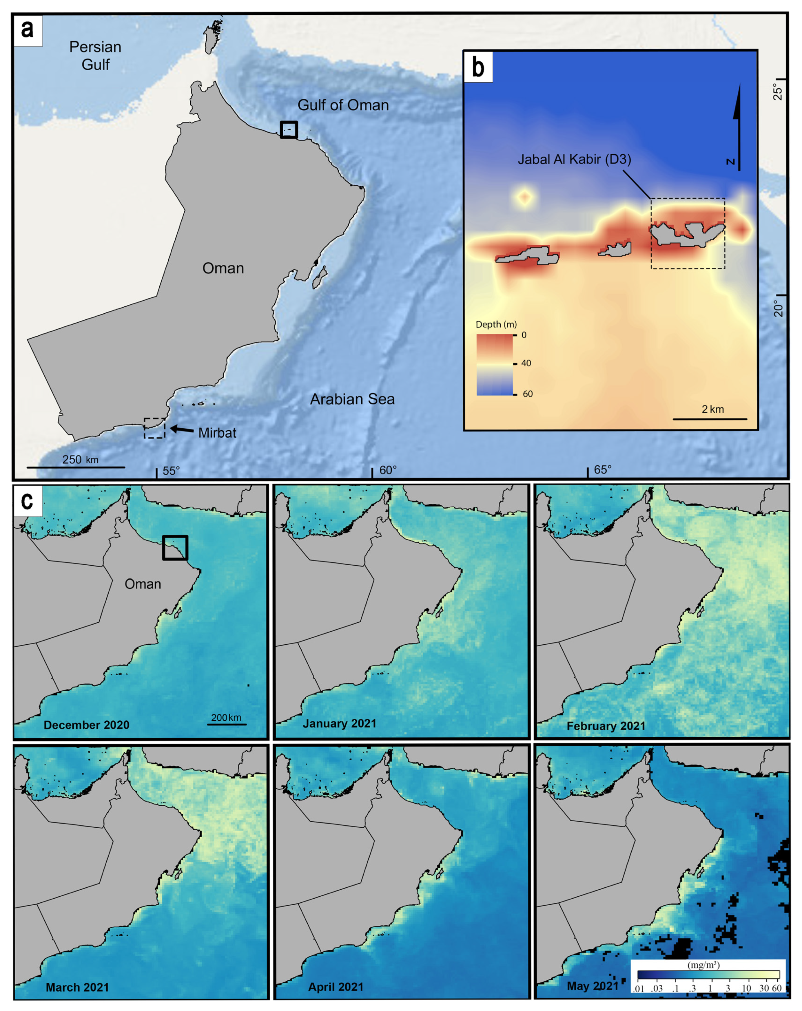 Diversity 14 00902 g001