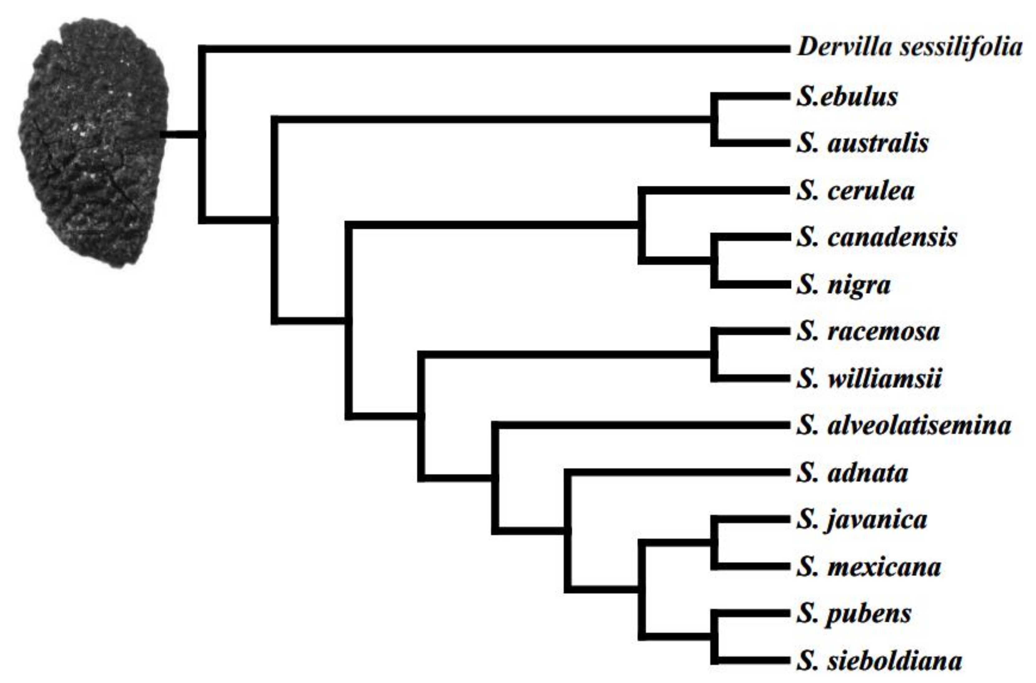 Diversity 14 00906 g003