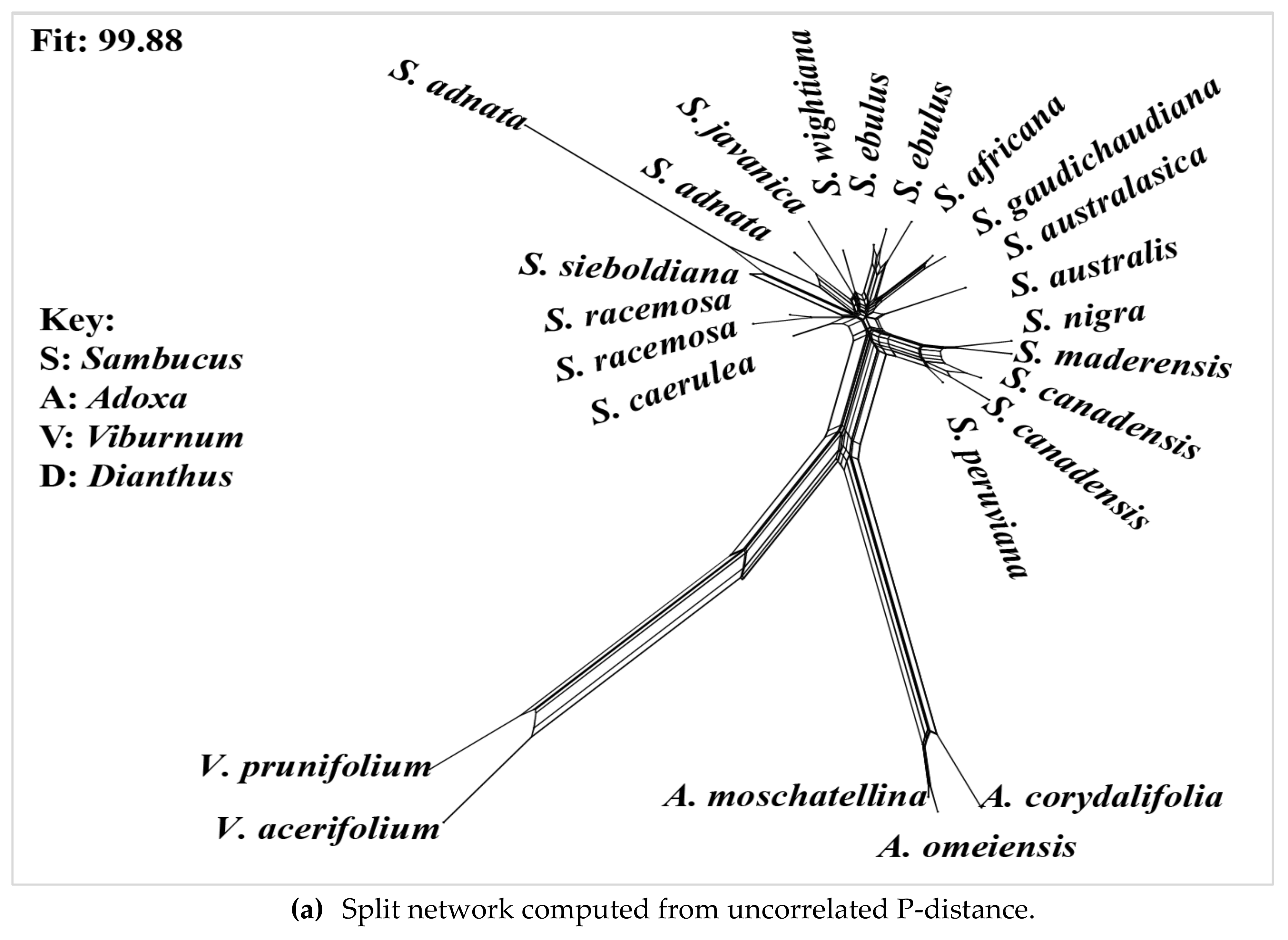 Diversity 14 00906 g004a