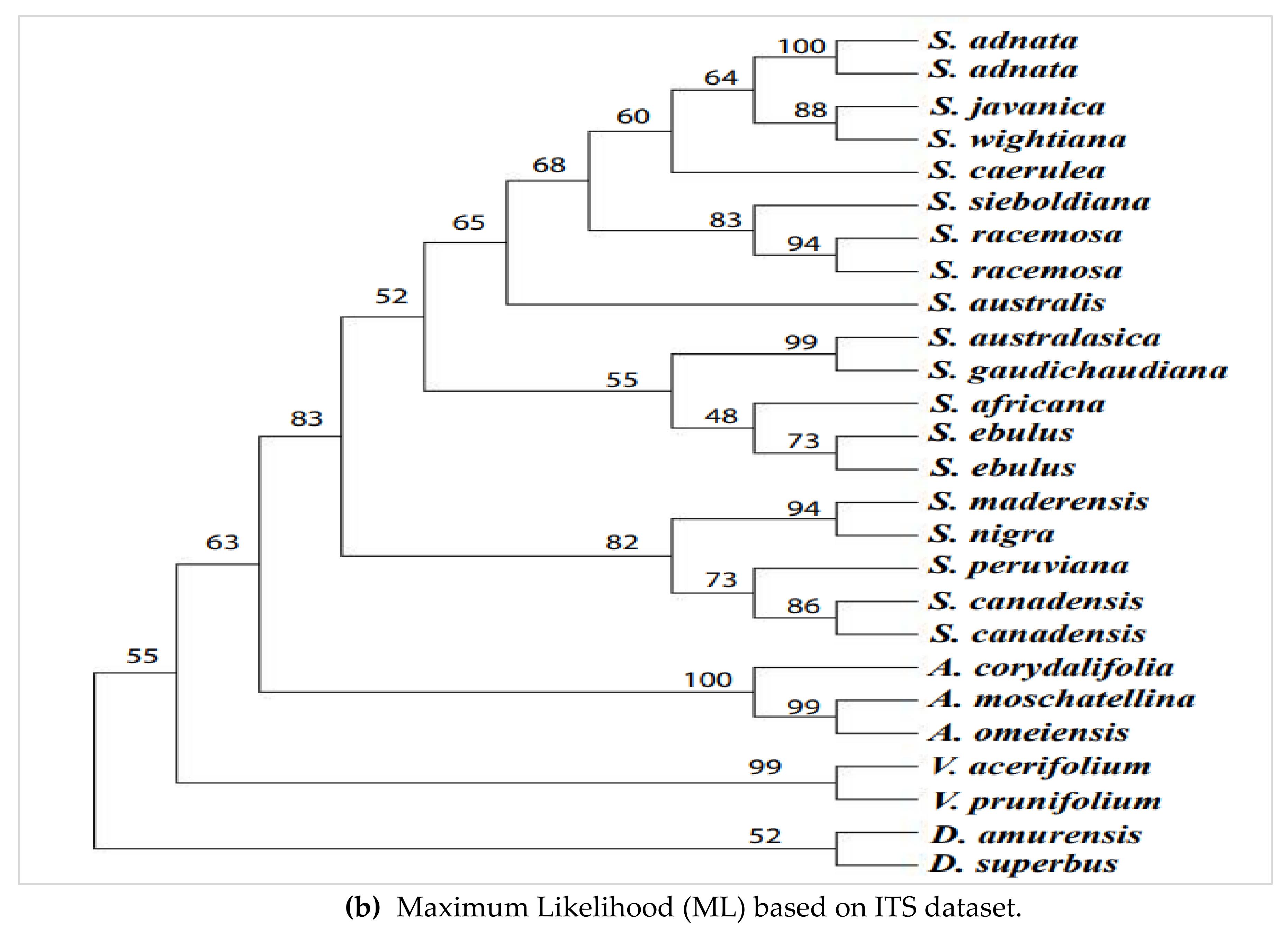 Diversity 14 00906 g004b