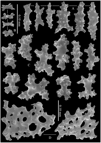 Diversity 14 00909 g003