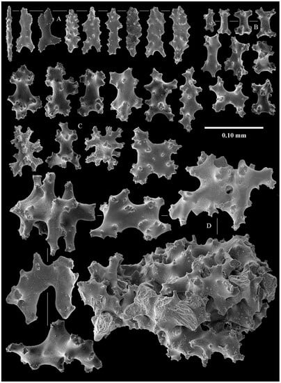 Diversity 14 00909 g005