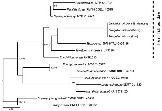 Diversity 14 00909 g008