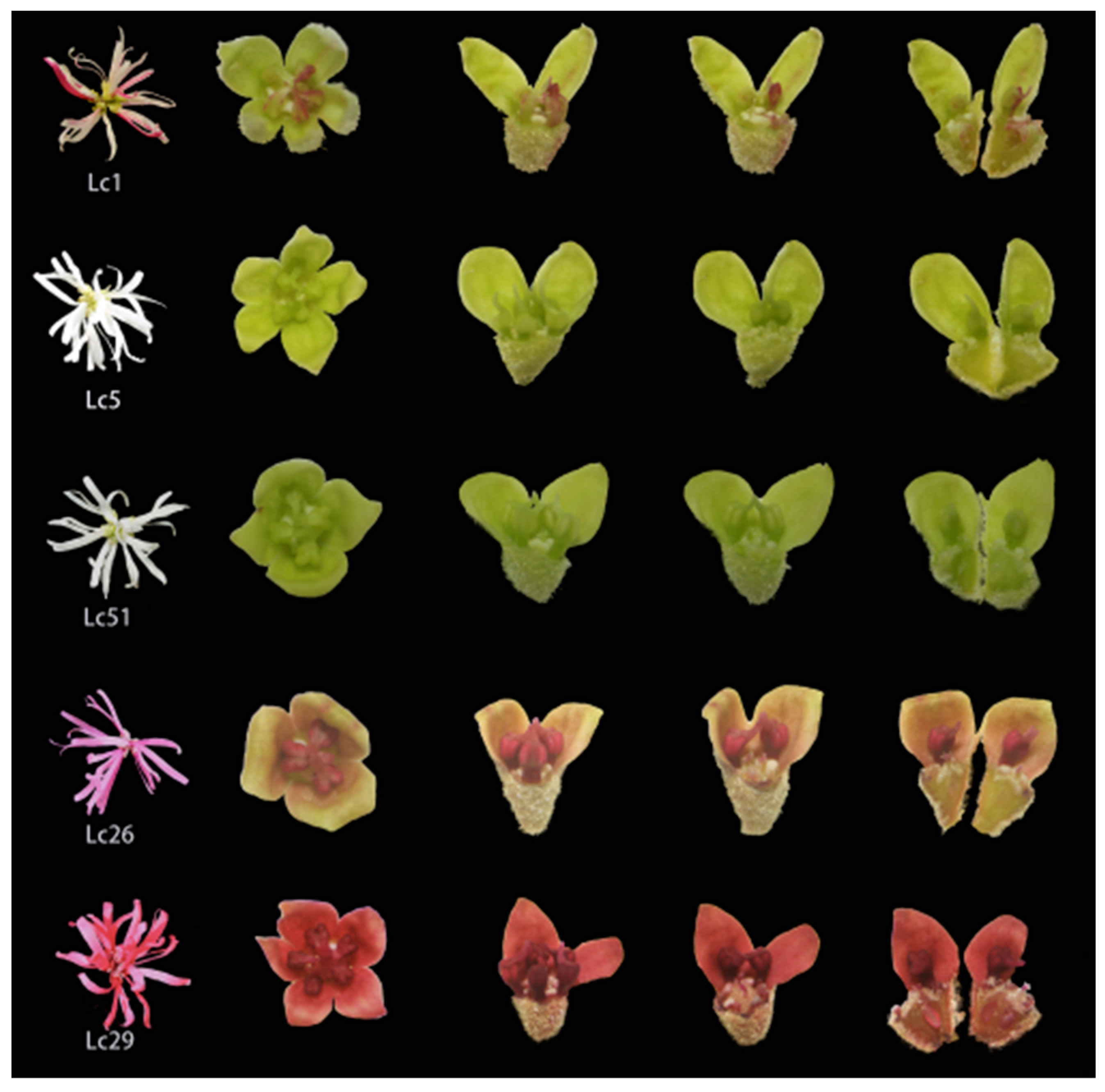 Diversity 14 00913 g006 Diversity 14 00913 g006