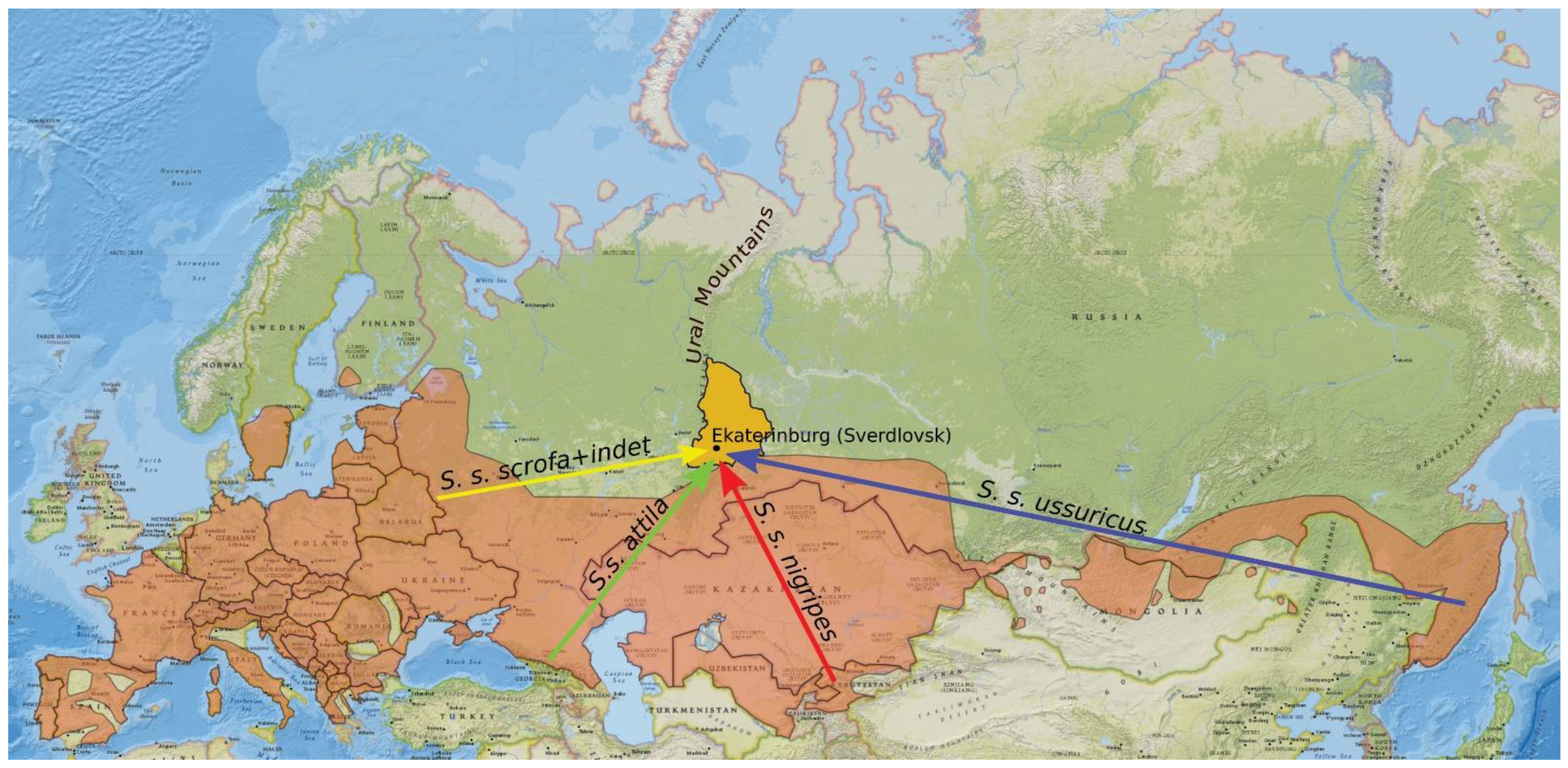 Diversity 14 00916 g001