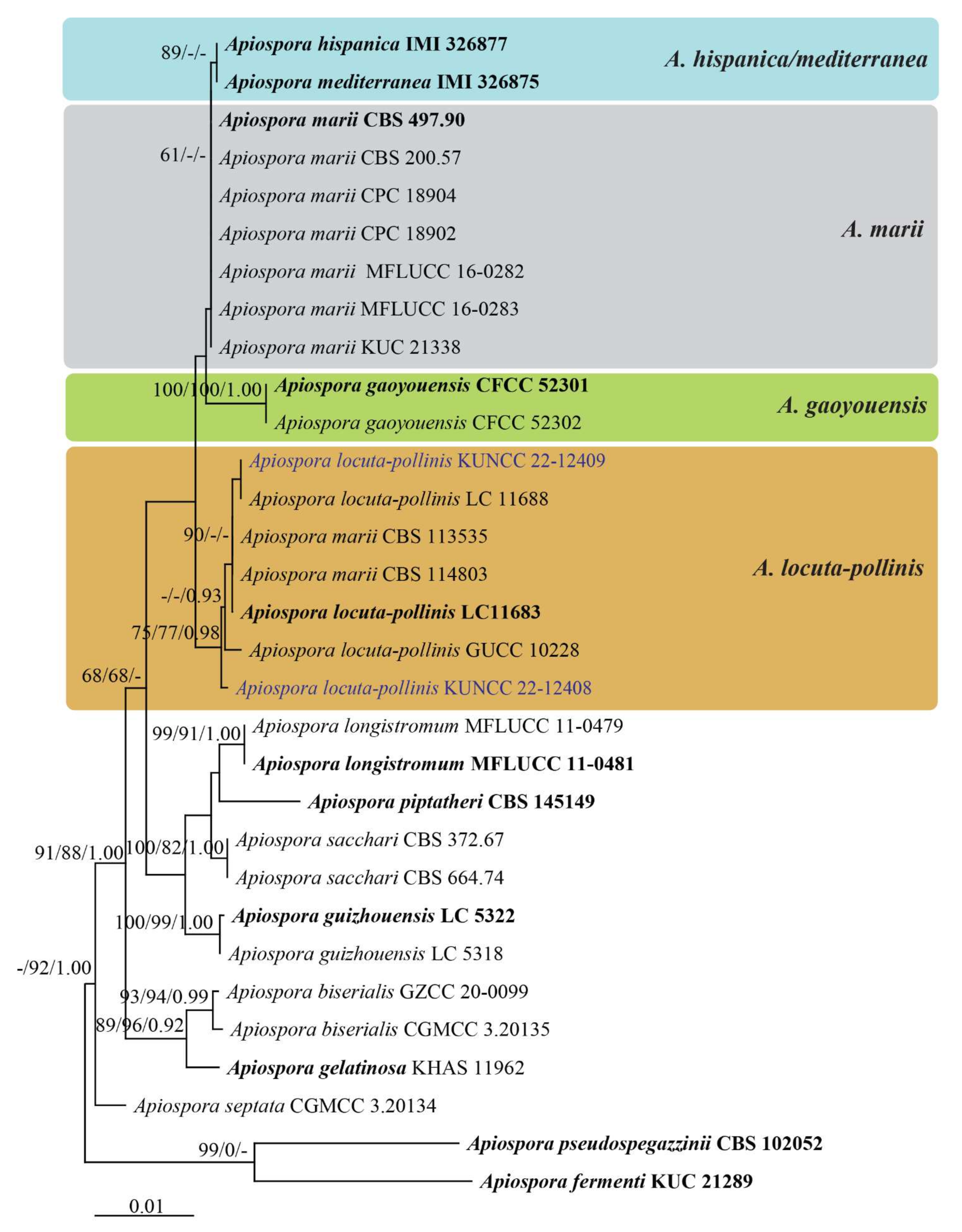 Diversity 14 00918 g002