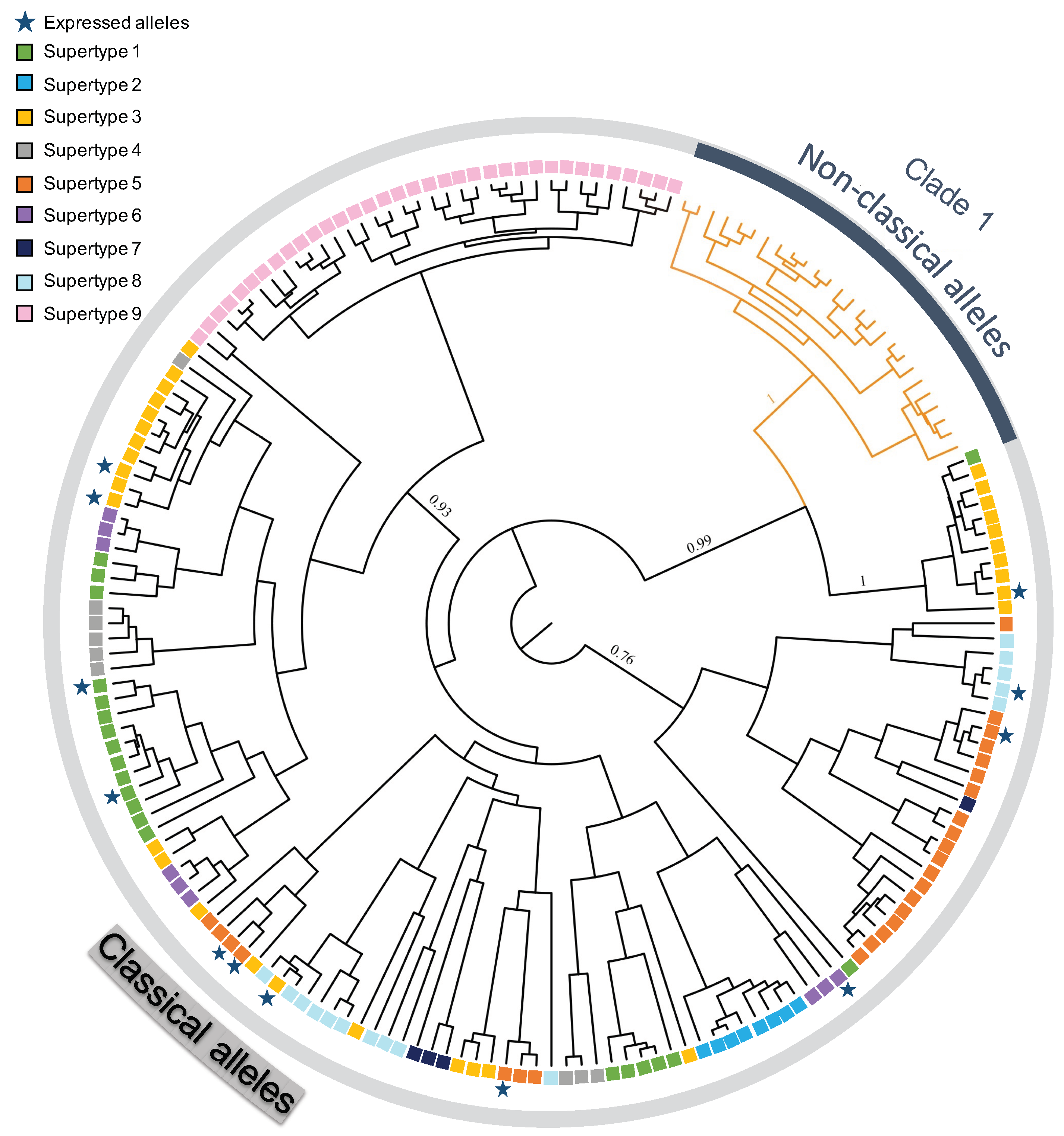 Diversity 14 00925 g001