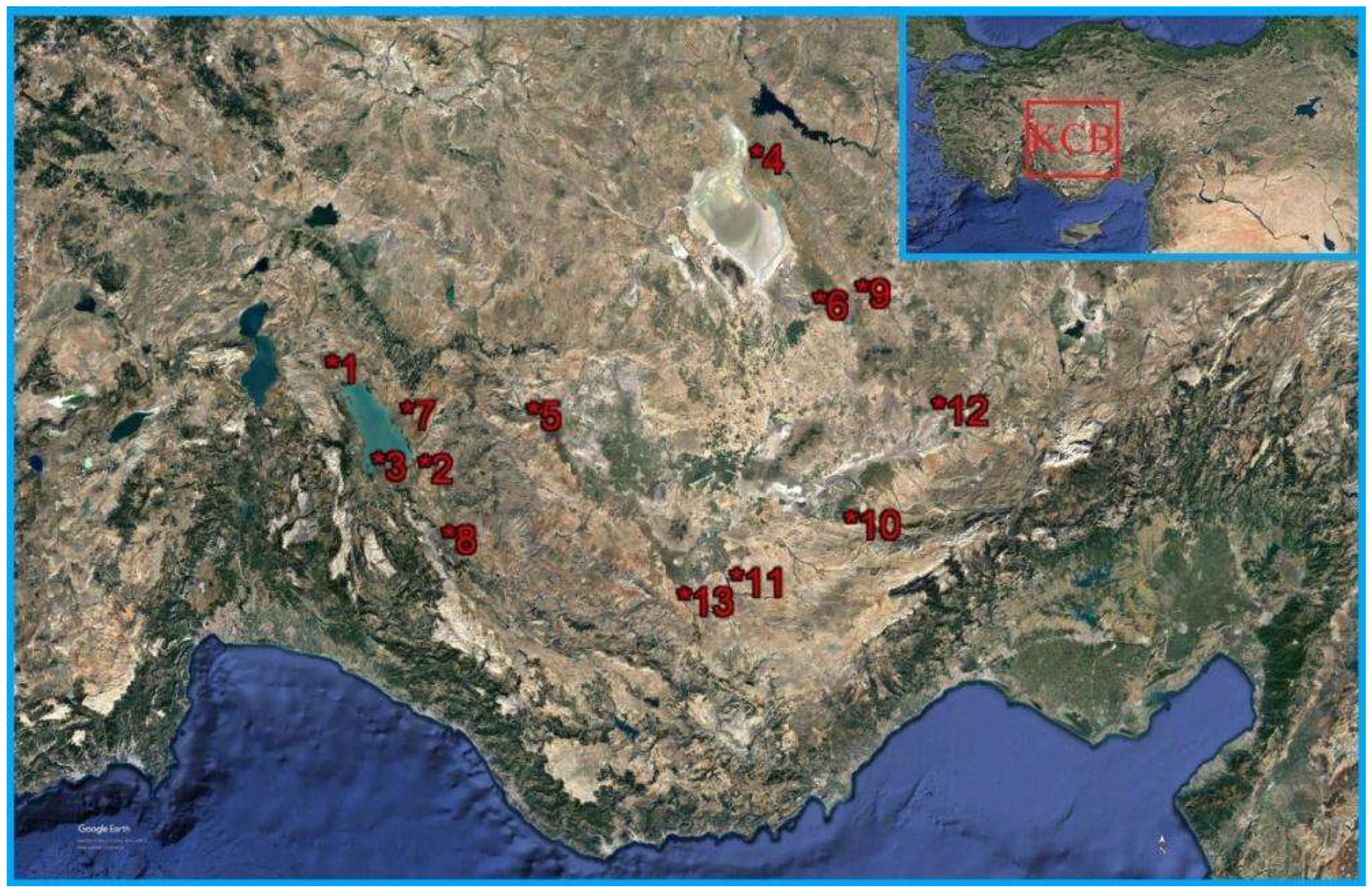 Diversity 14 00934 g001