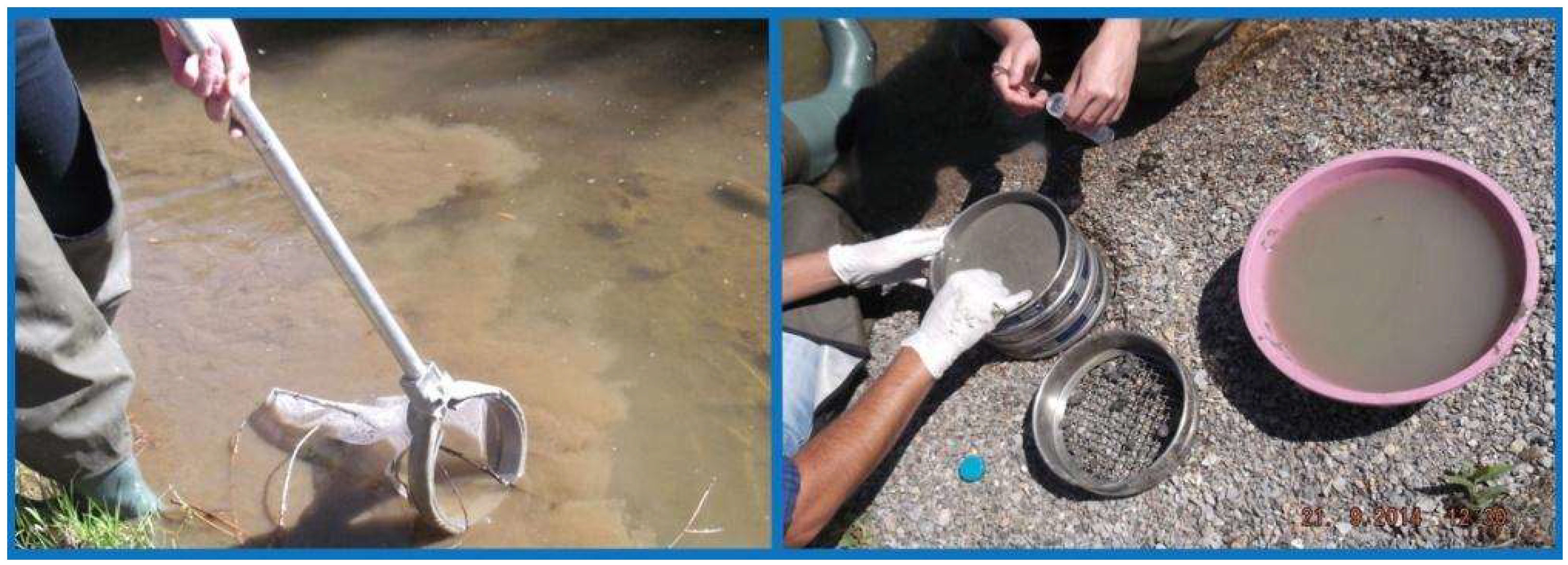 Diversity 14 00934 g002