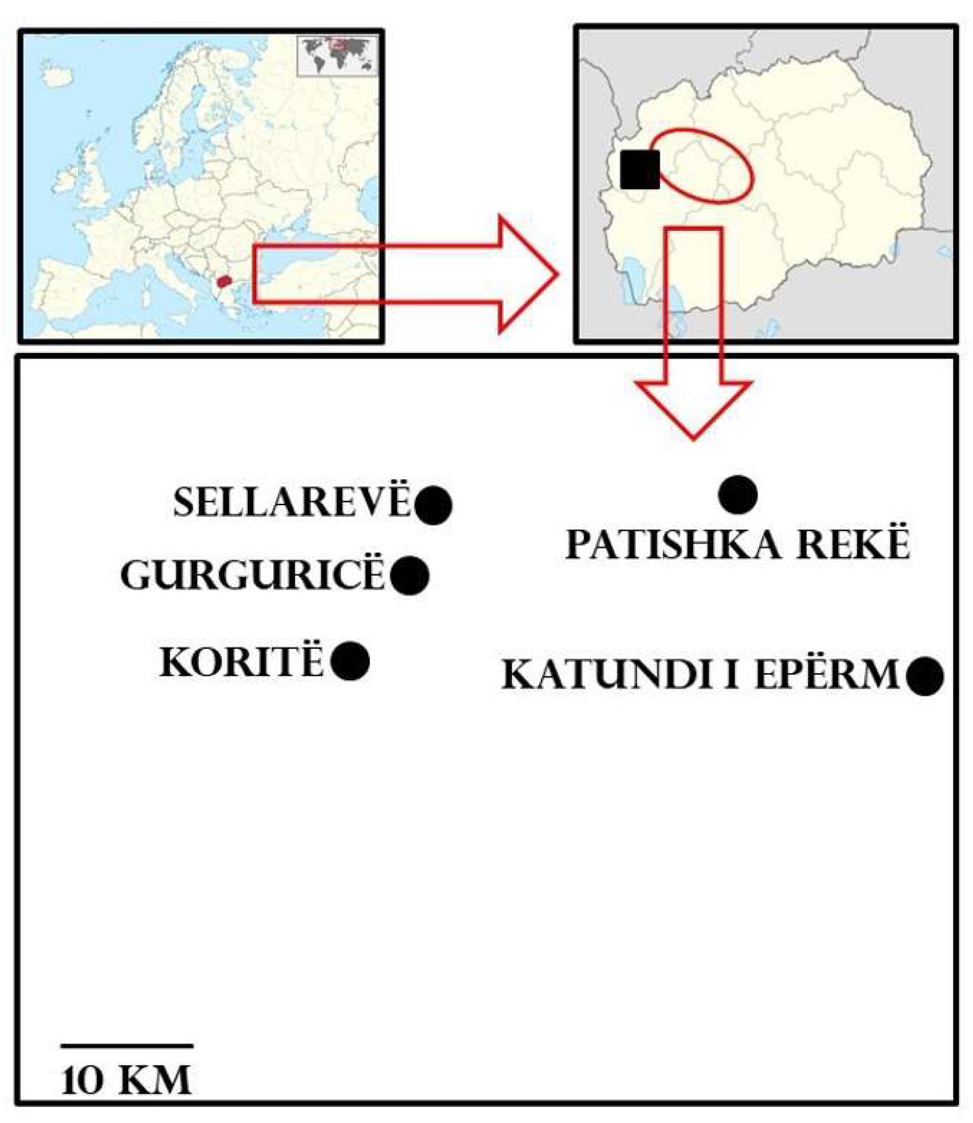 Diversity 14 00936 g001