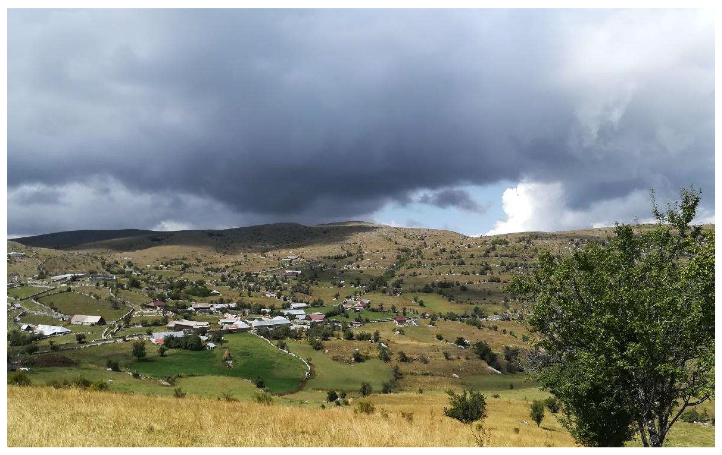 Diversity 14 00936 g003