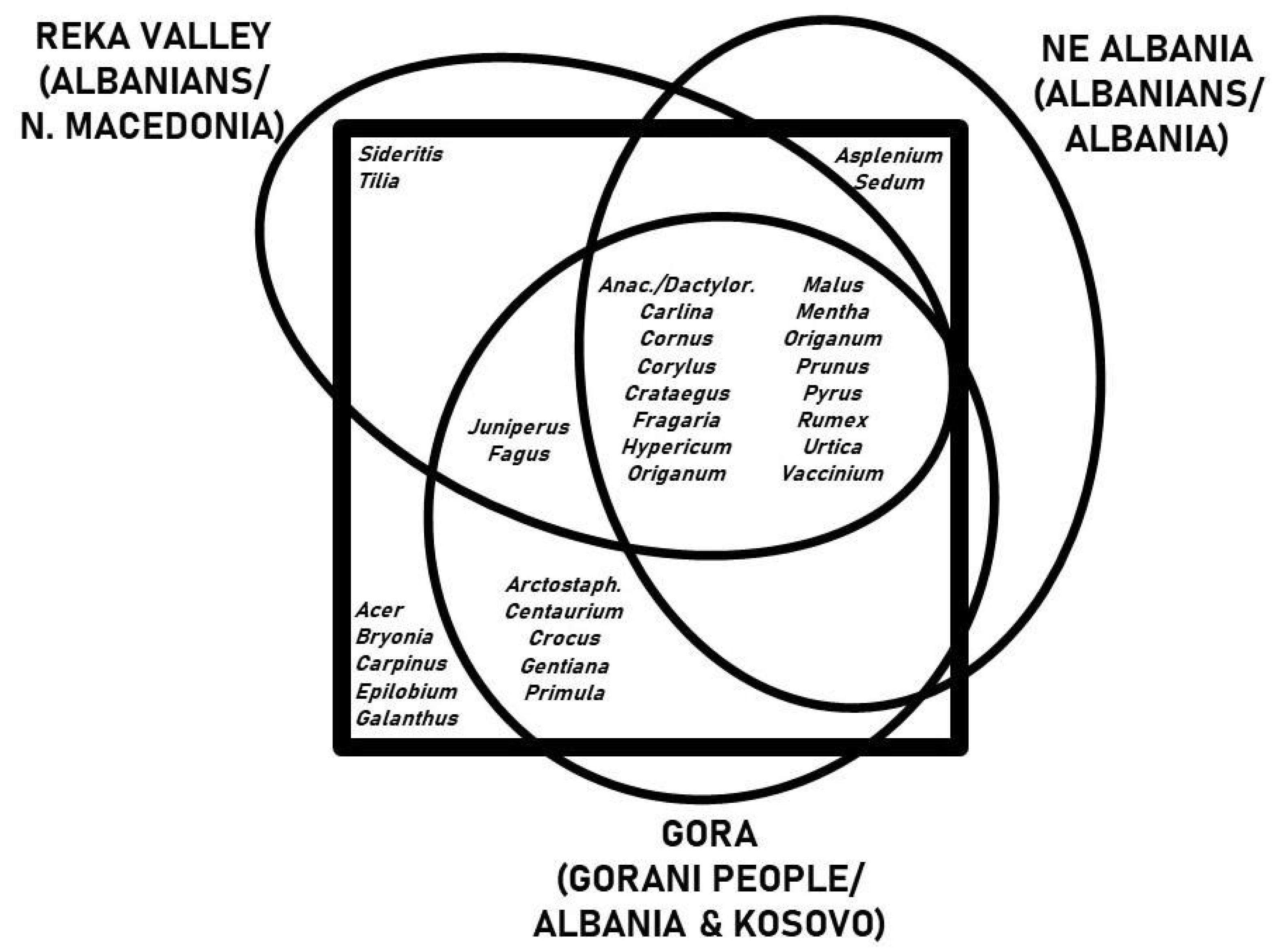 Diversity 14 00936 g005