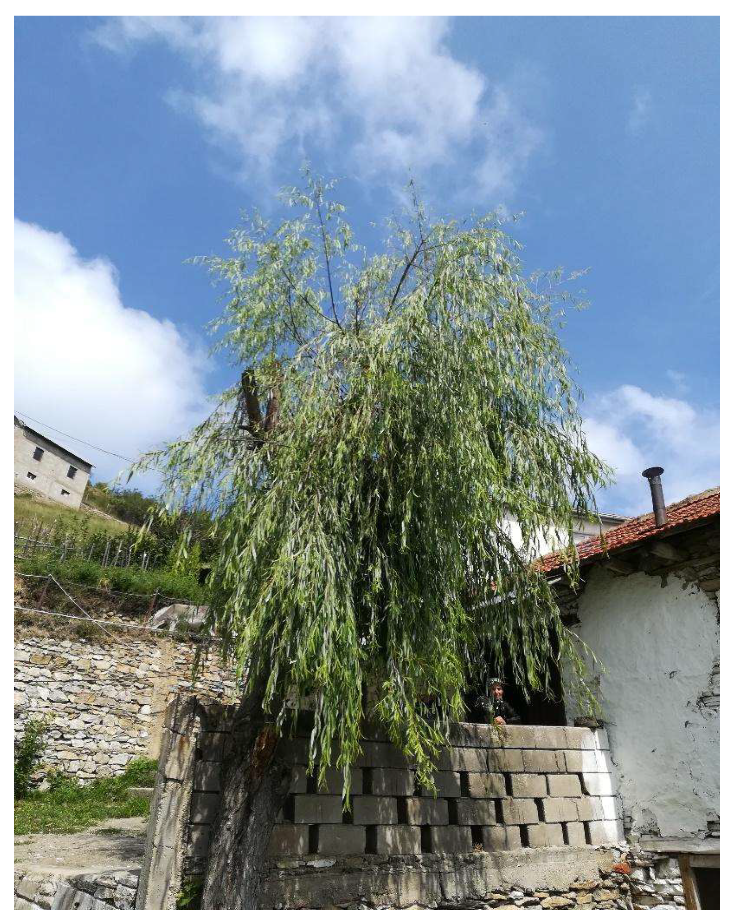 Diversity 14 00936 g007