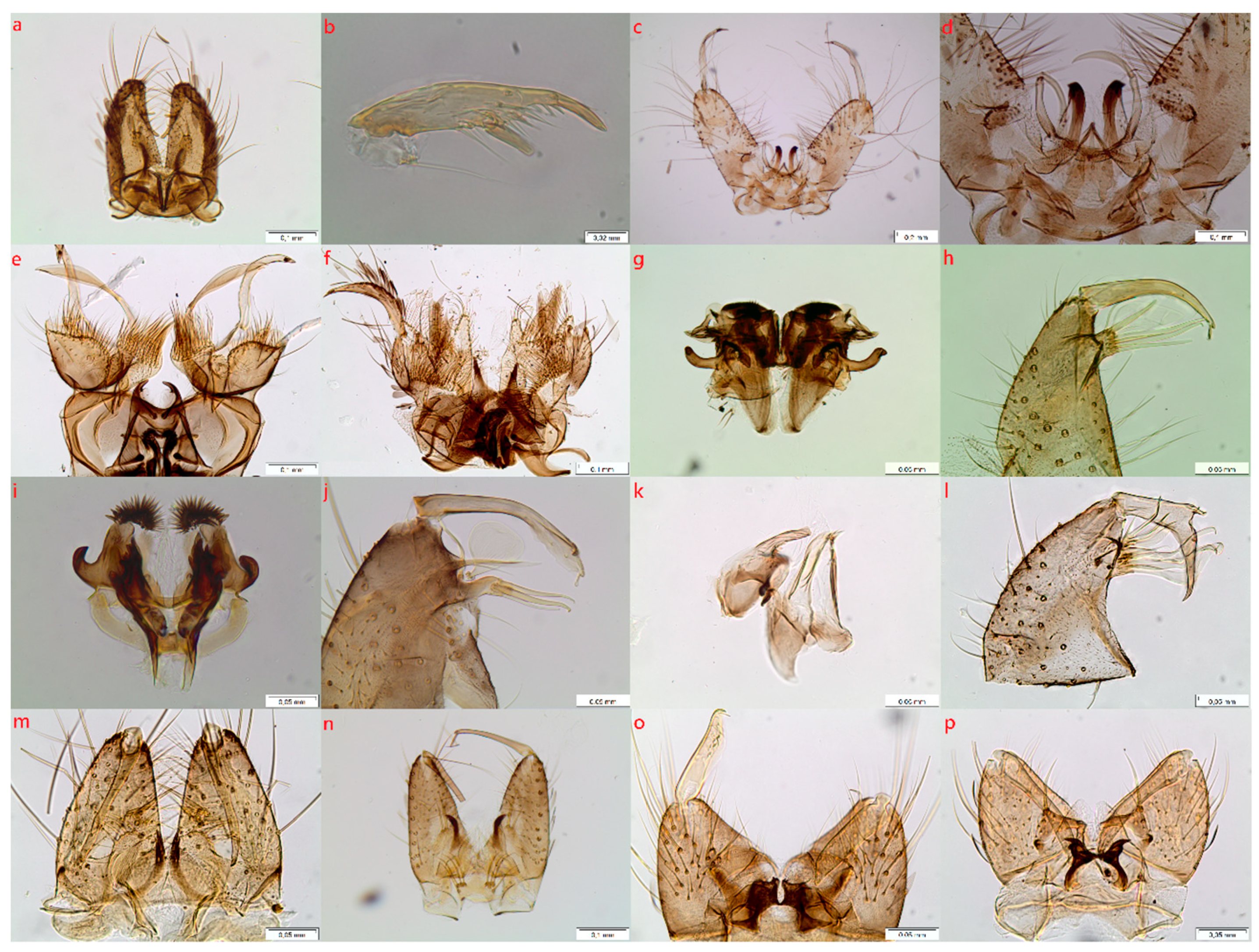 Diversity 14 00940 g001