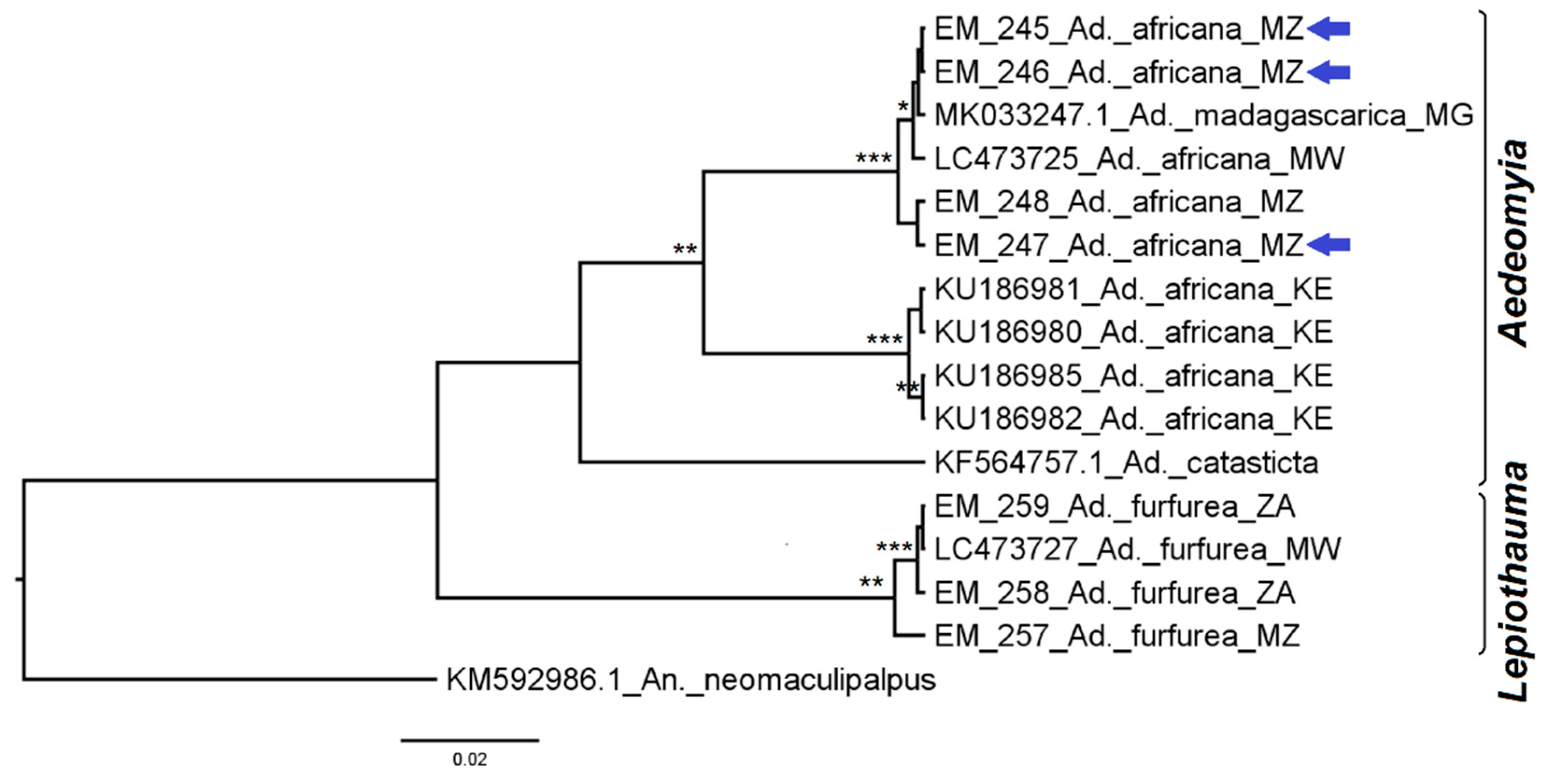 Diversity 14 00940 g002
