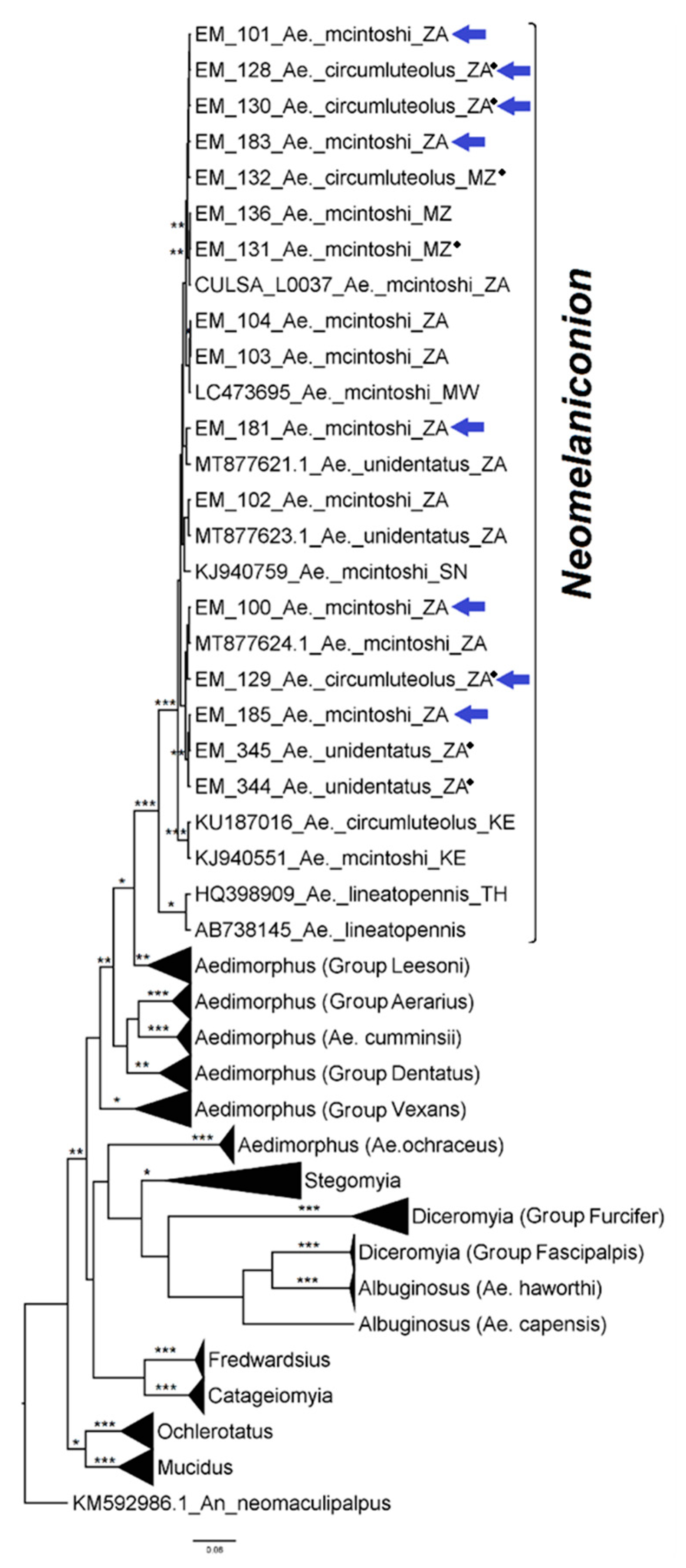 Diversity 14 00940 g004