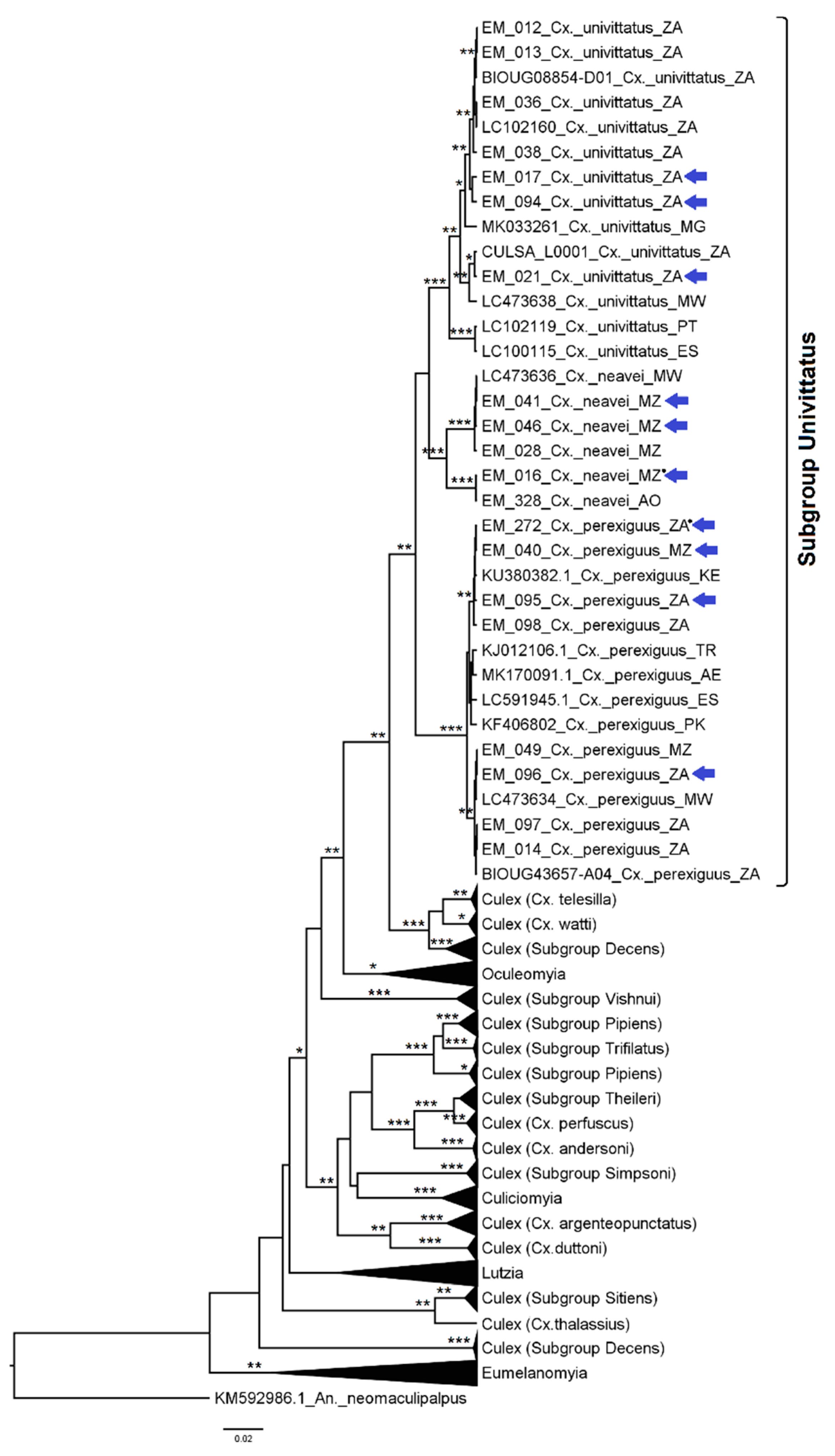 Diversity 14 00940 g010