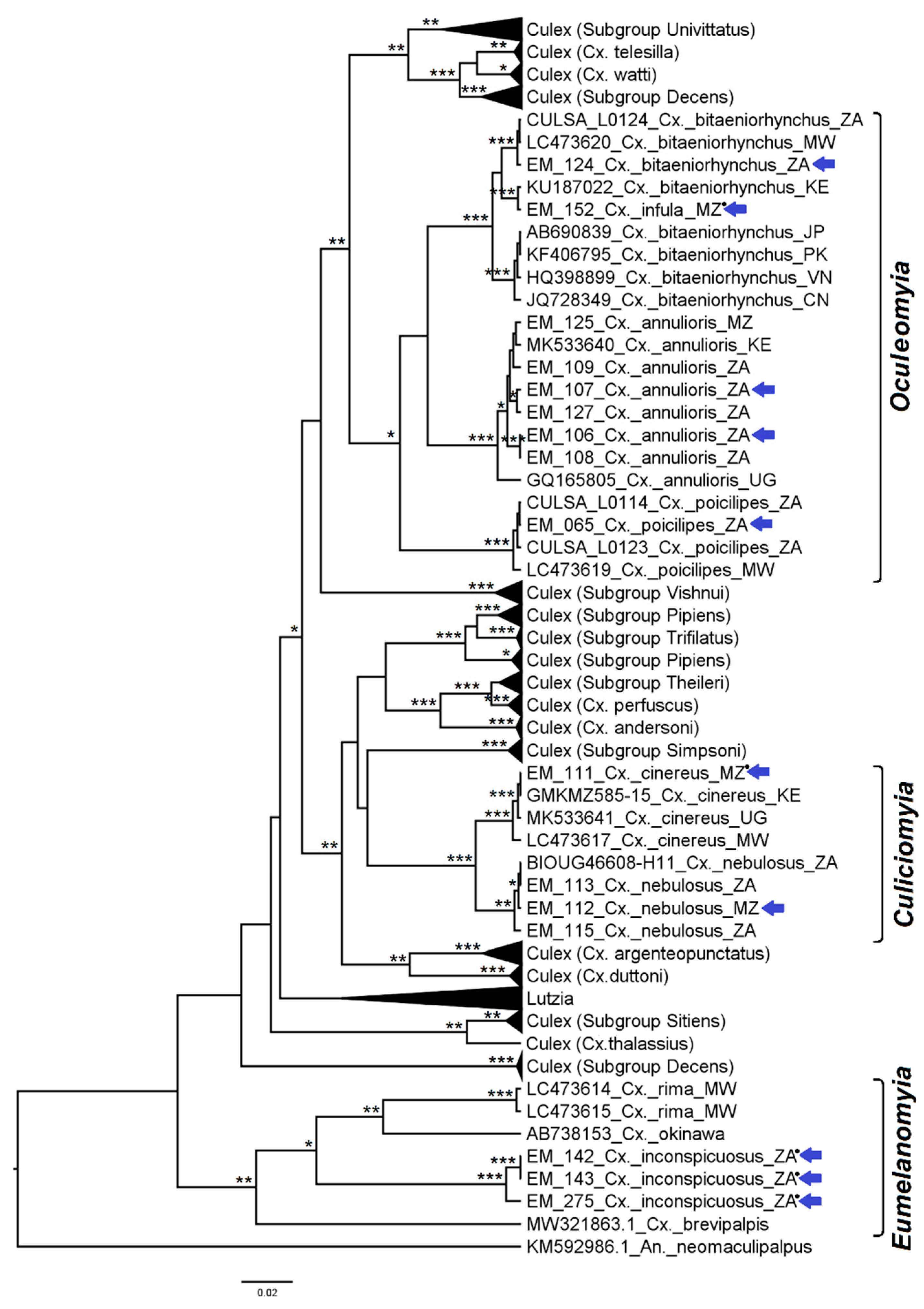 Diversity 14 00940 g012