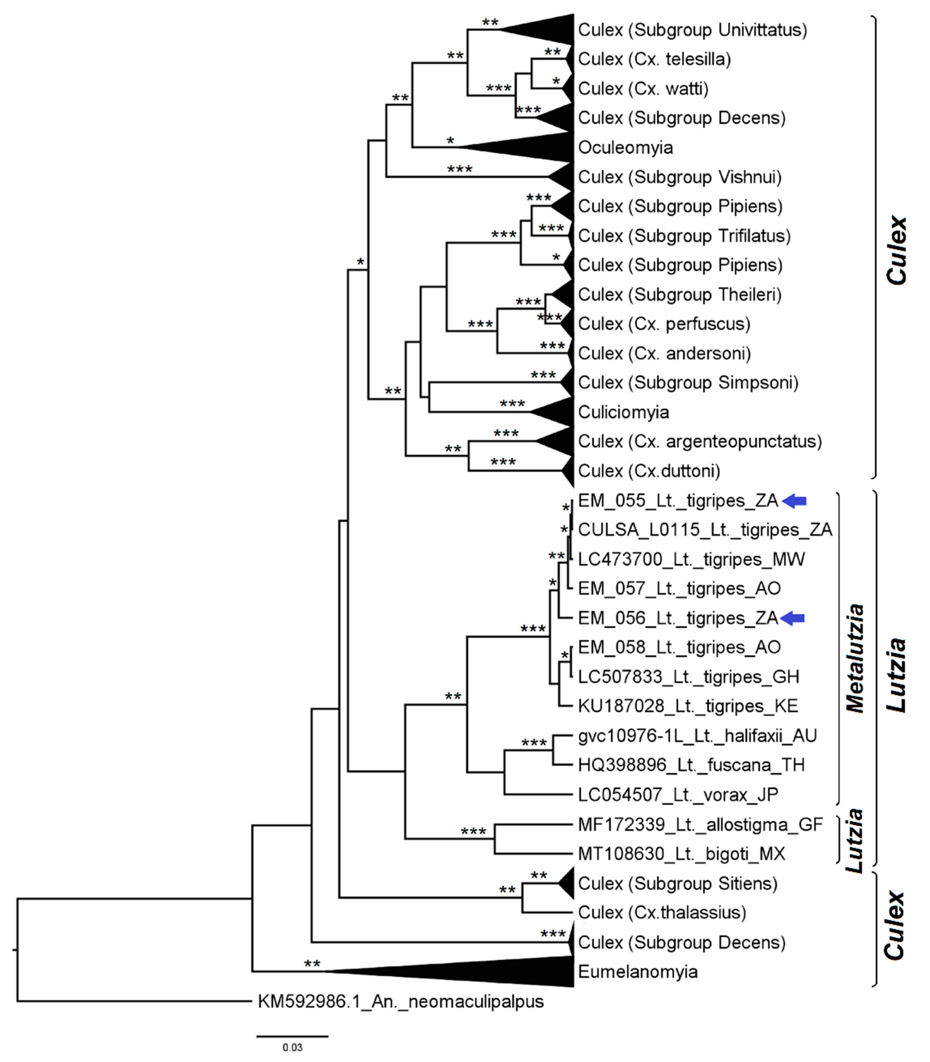 Diversity 14 00940 g013
