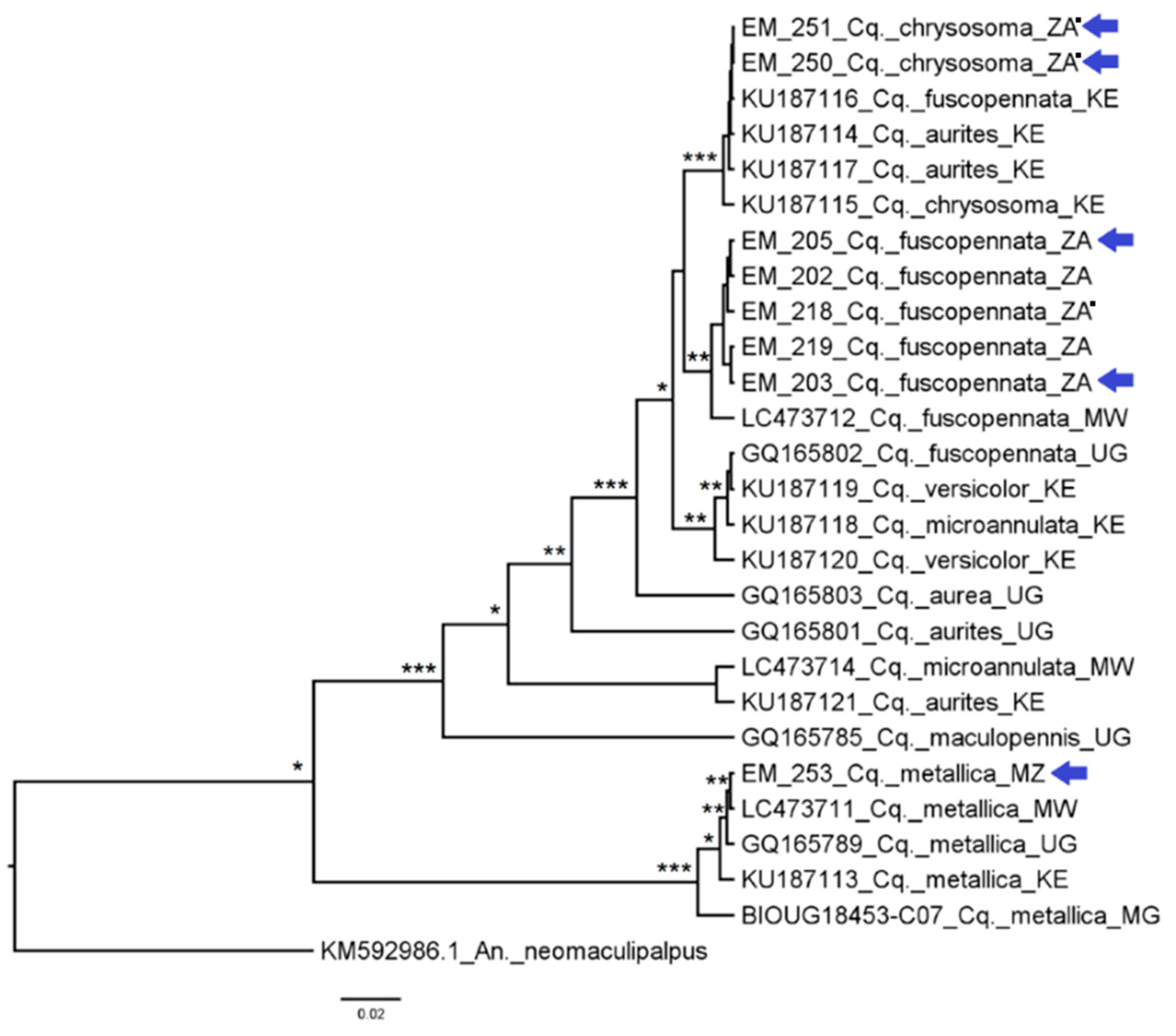 Diversity 14 00940 g016