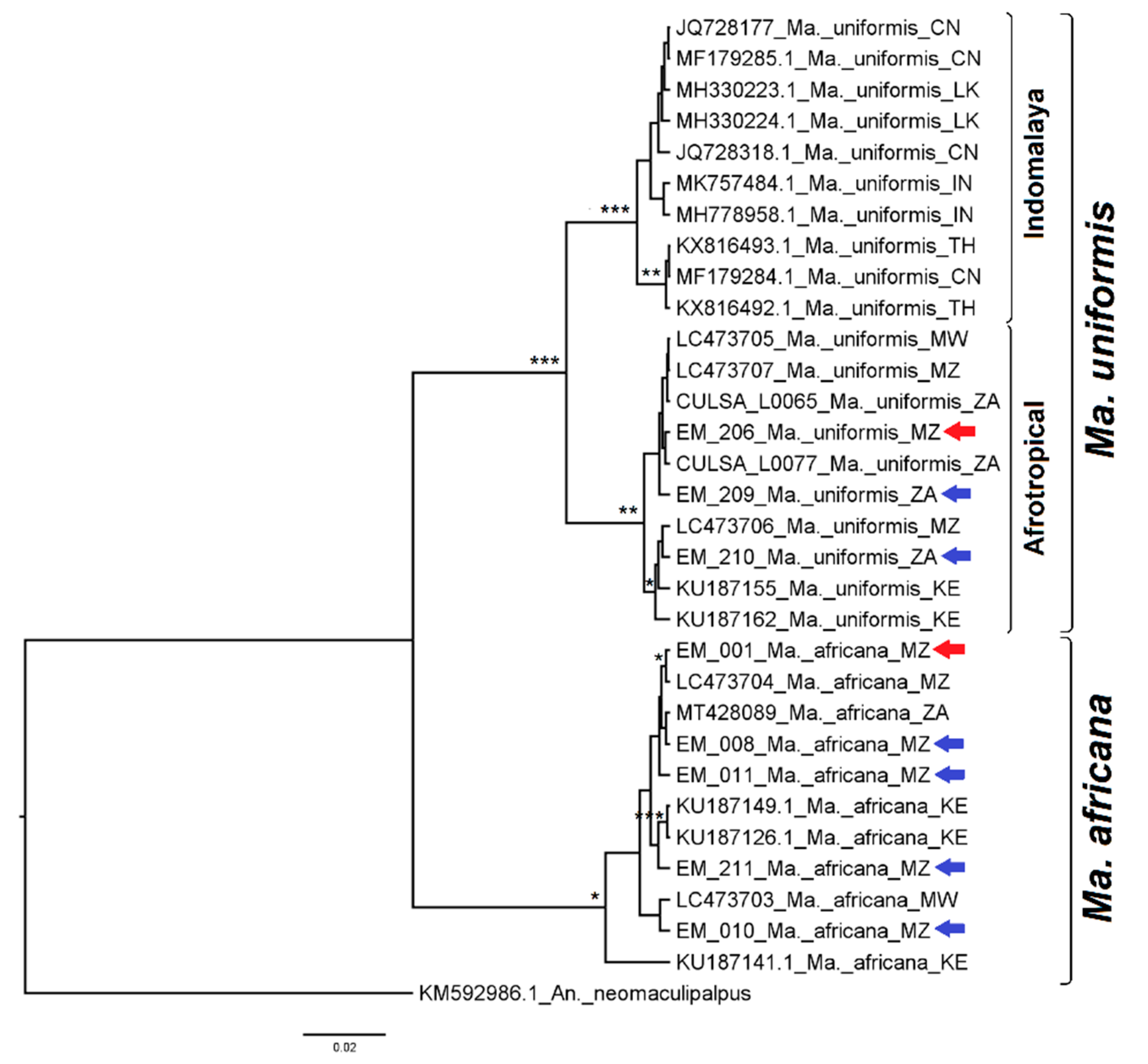 Diversity 14 00940 g017