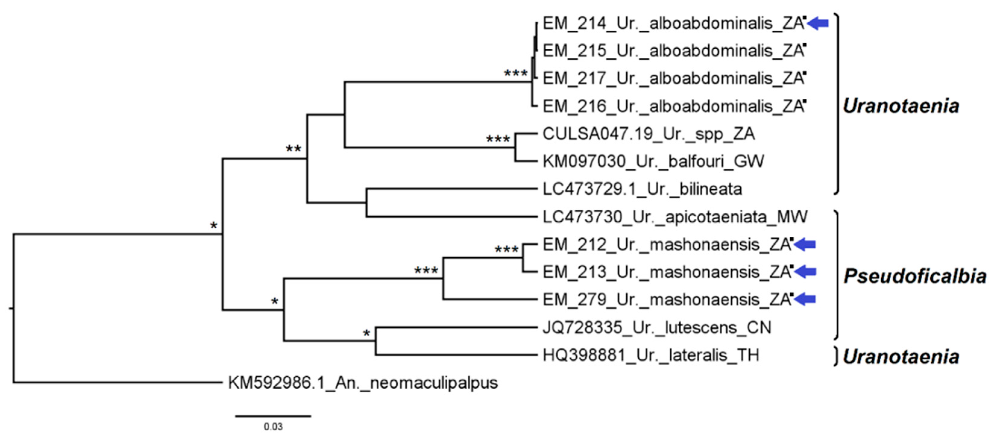 Diversity 14 00940 g018
