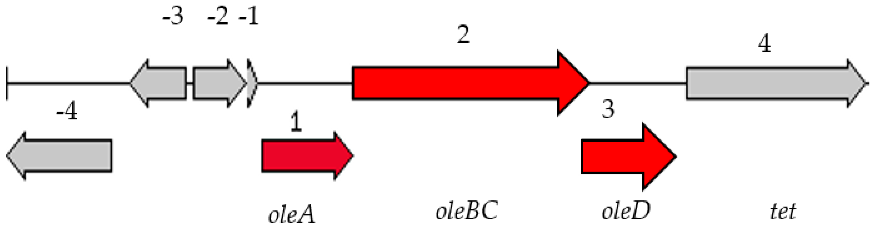 Diversity 14 00947 g004