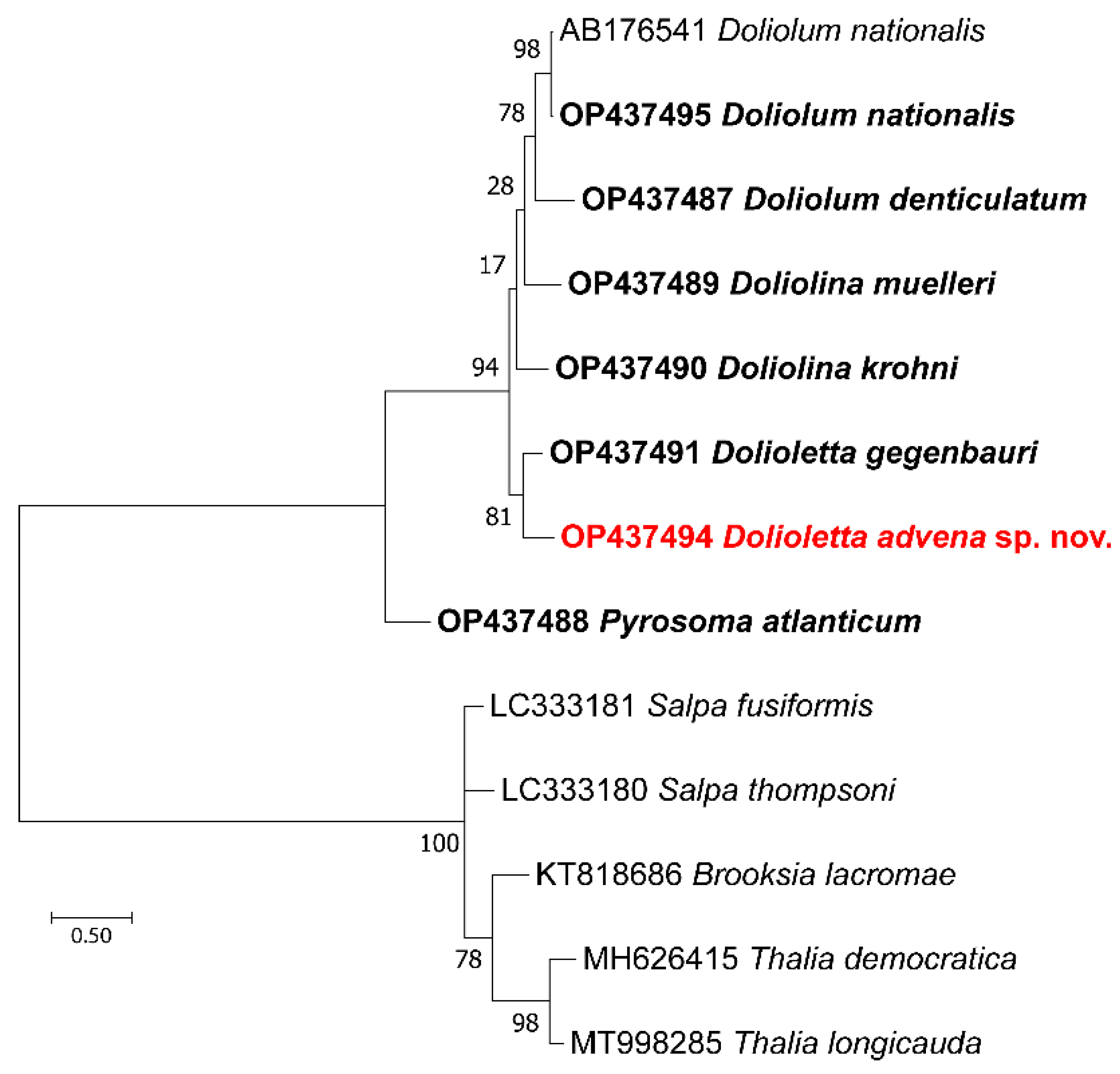 Diversity 14 00959 g004