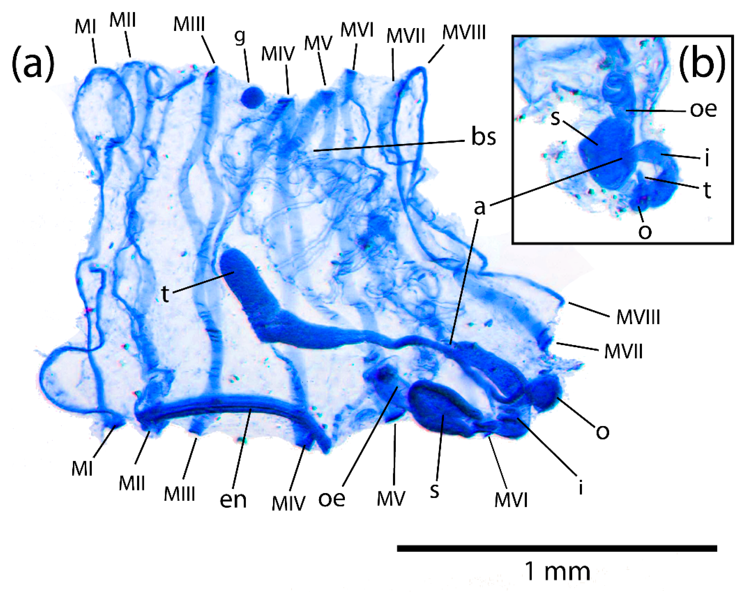Diversity 14 00959 g005