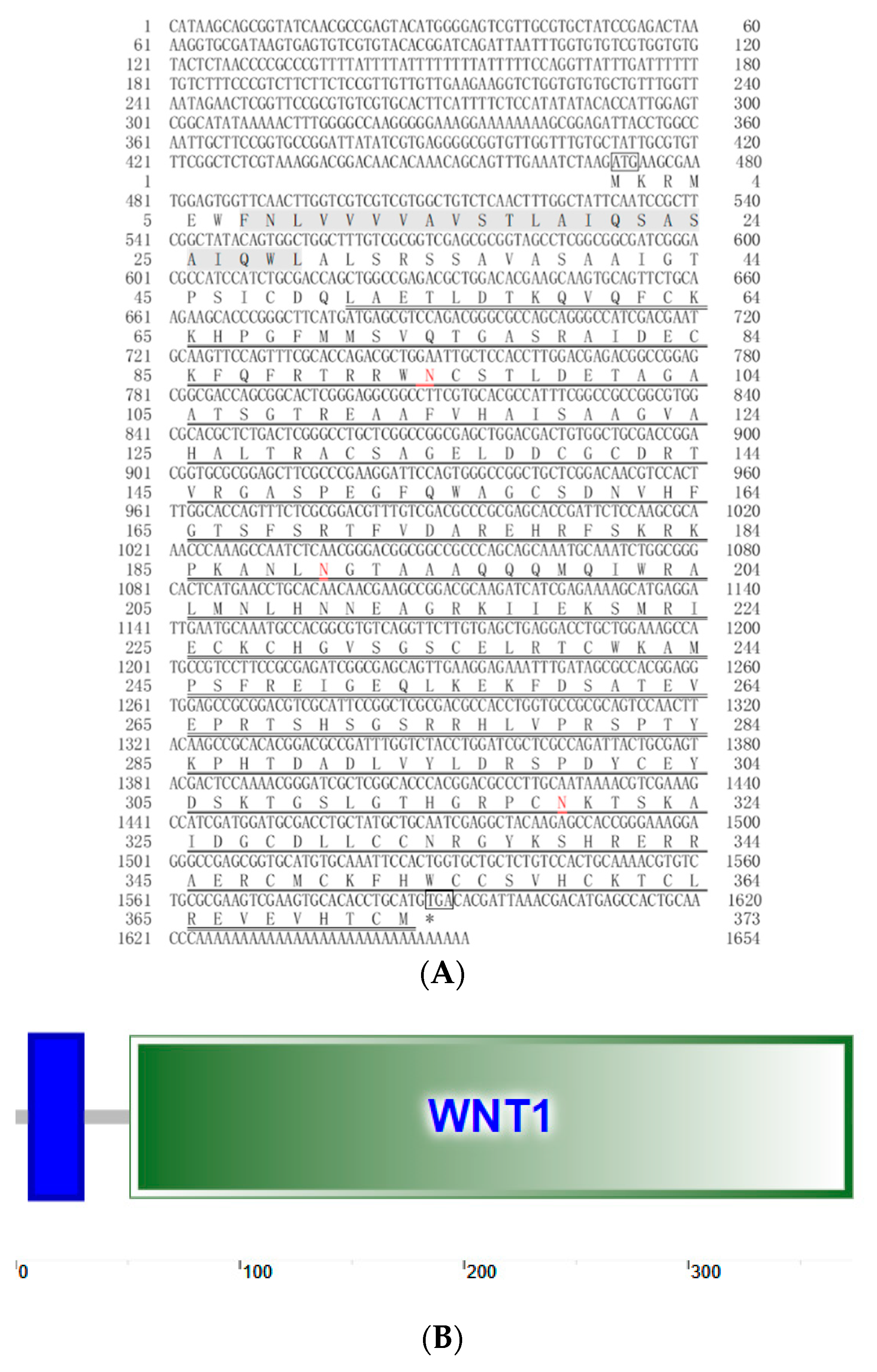Diversity 14 00962 g001