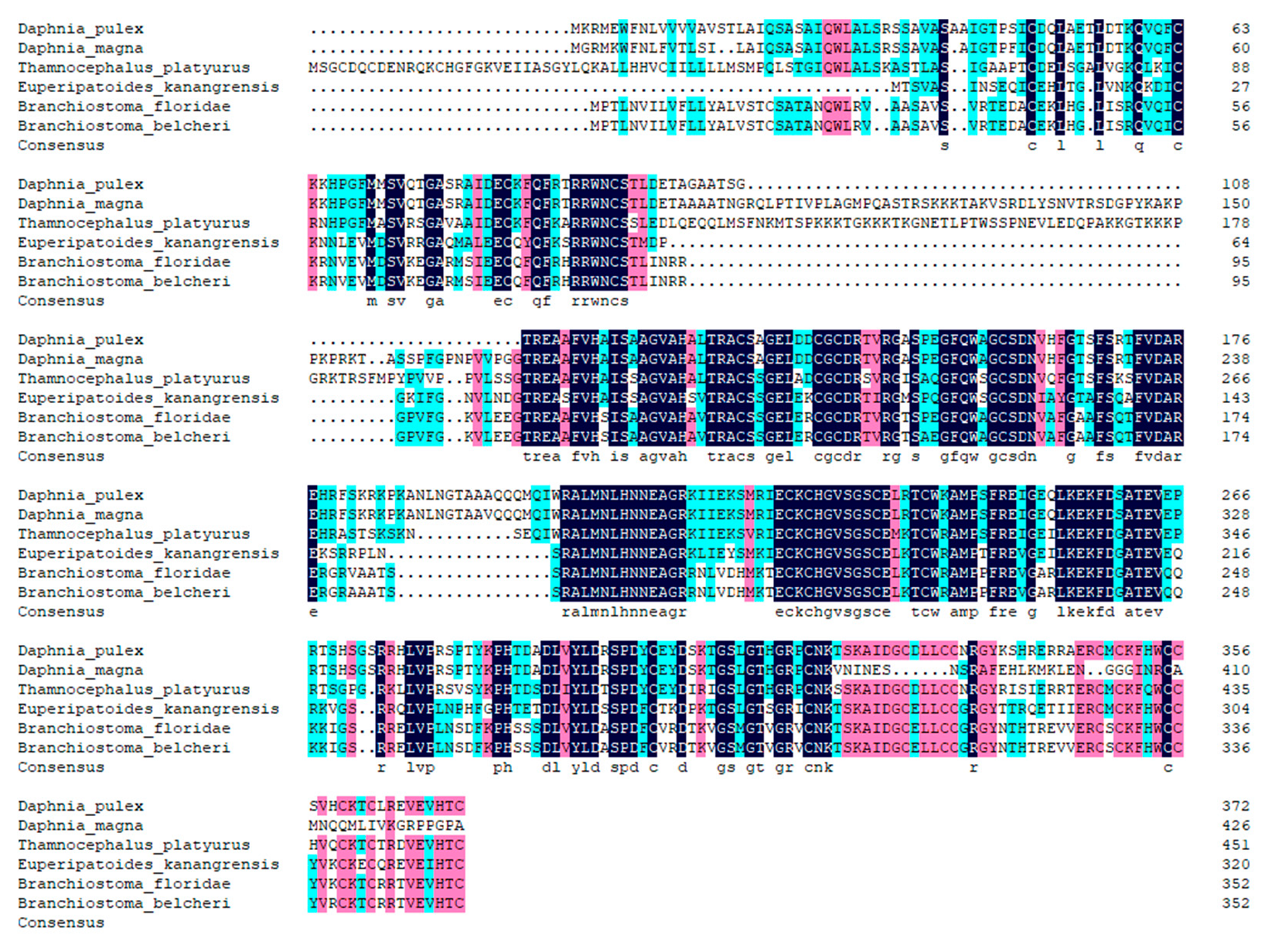 Diversity 14 00962 g003