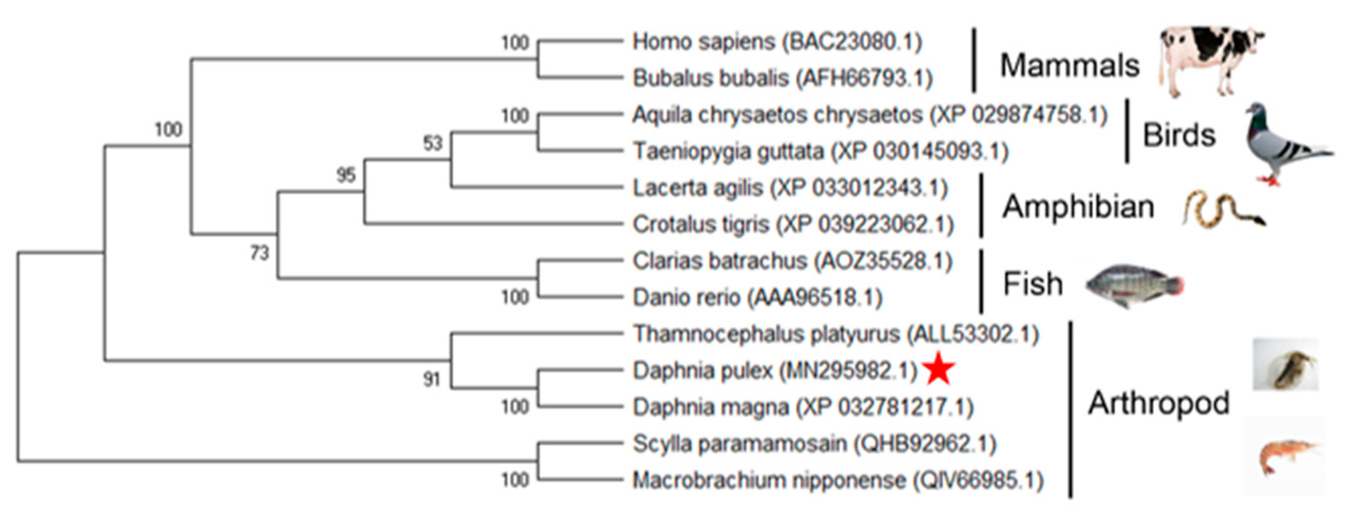 Diversity 14 00962 g005