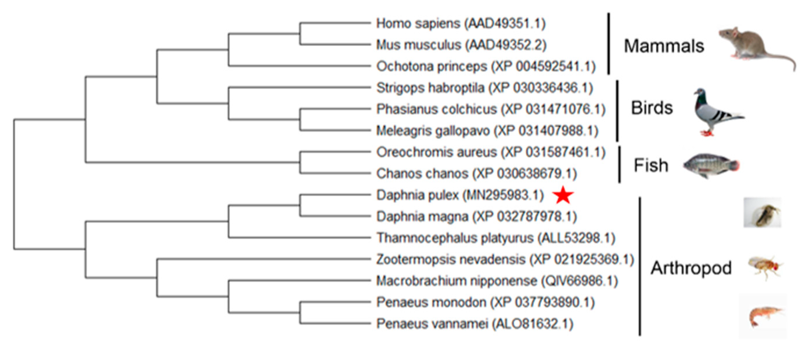 Diversity 14 00962 g006